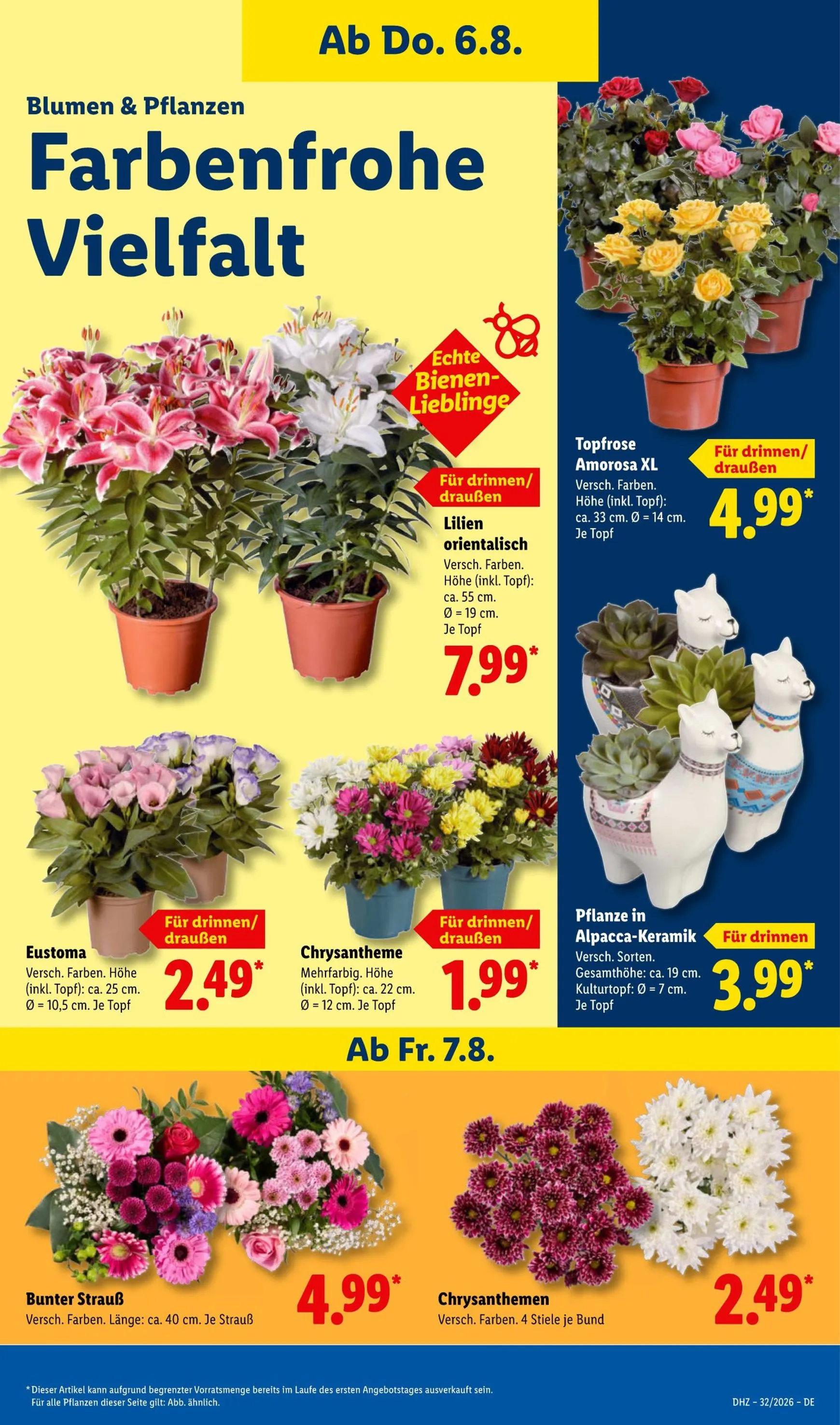 Lidl Prospekt – von Montag 03.08.2026 bis Samstag 08.08.2026 von 3. August bis 8. August 2026 - Prospekt seite 7