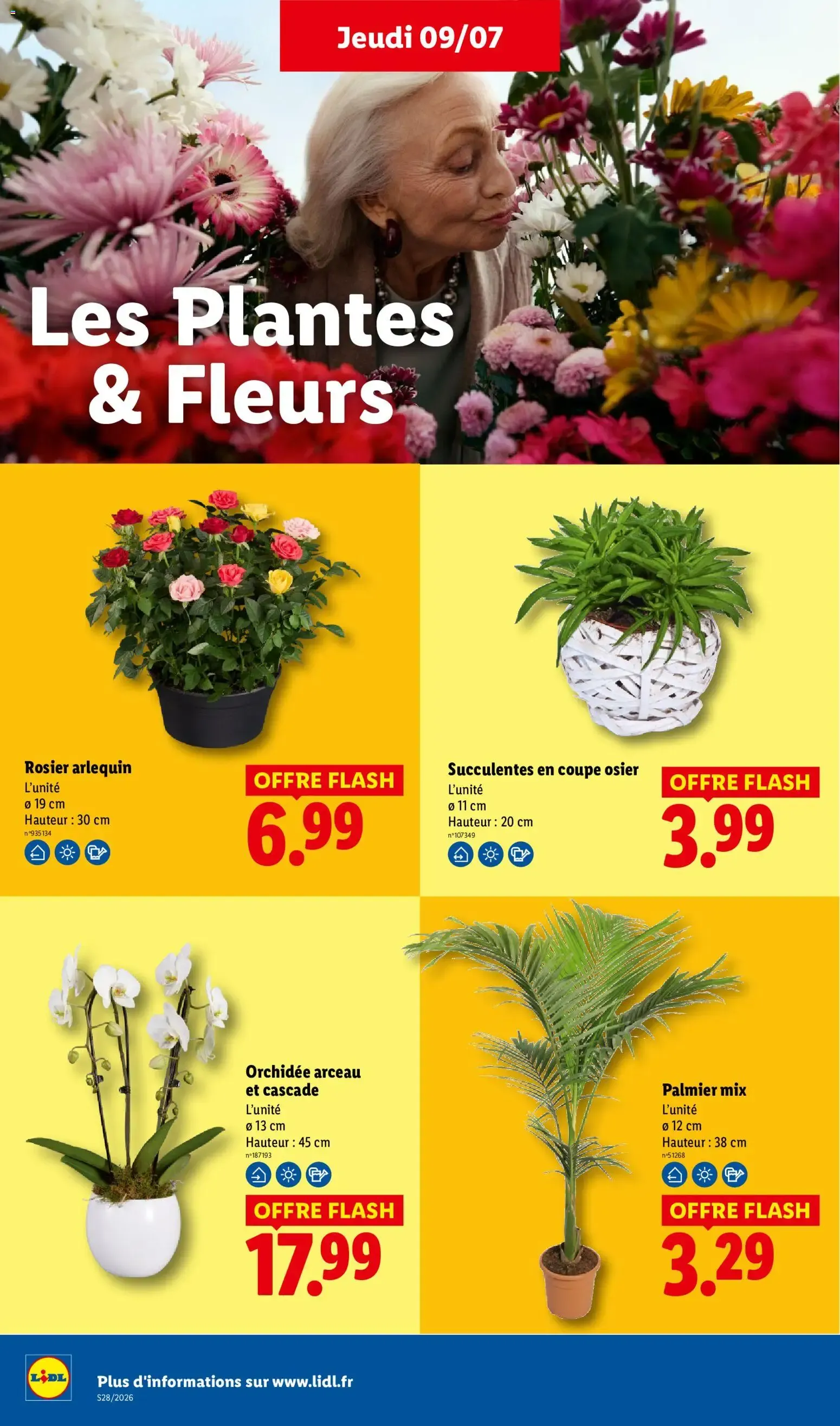 LIDL - Au cœur de nos régions! du 9 juillet au 15 juillet 2026 - Catalogue page 30