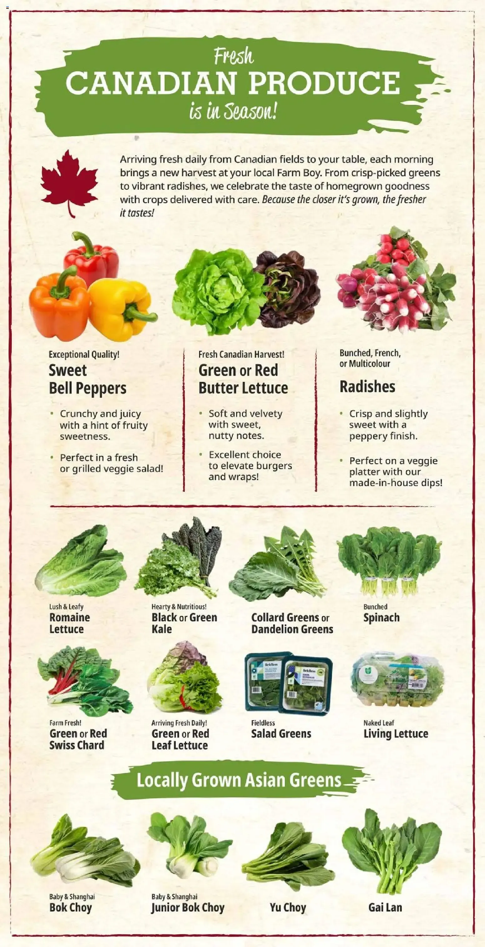 Farm Boy weekly flyer / circulaire from Jun 18, 2026 > weekly specials & deals from June 18 to June 24 2026 - flyer page 9