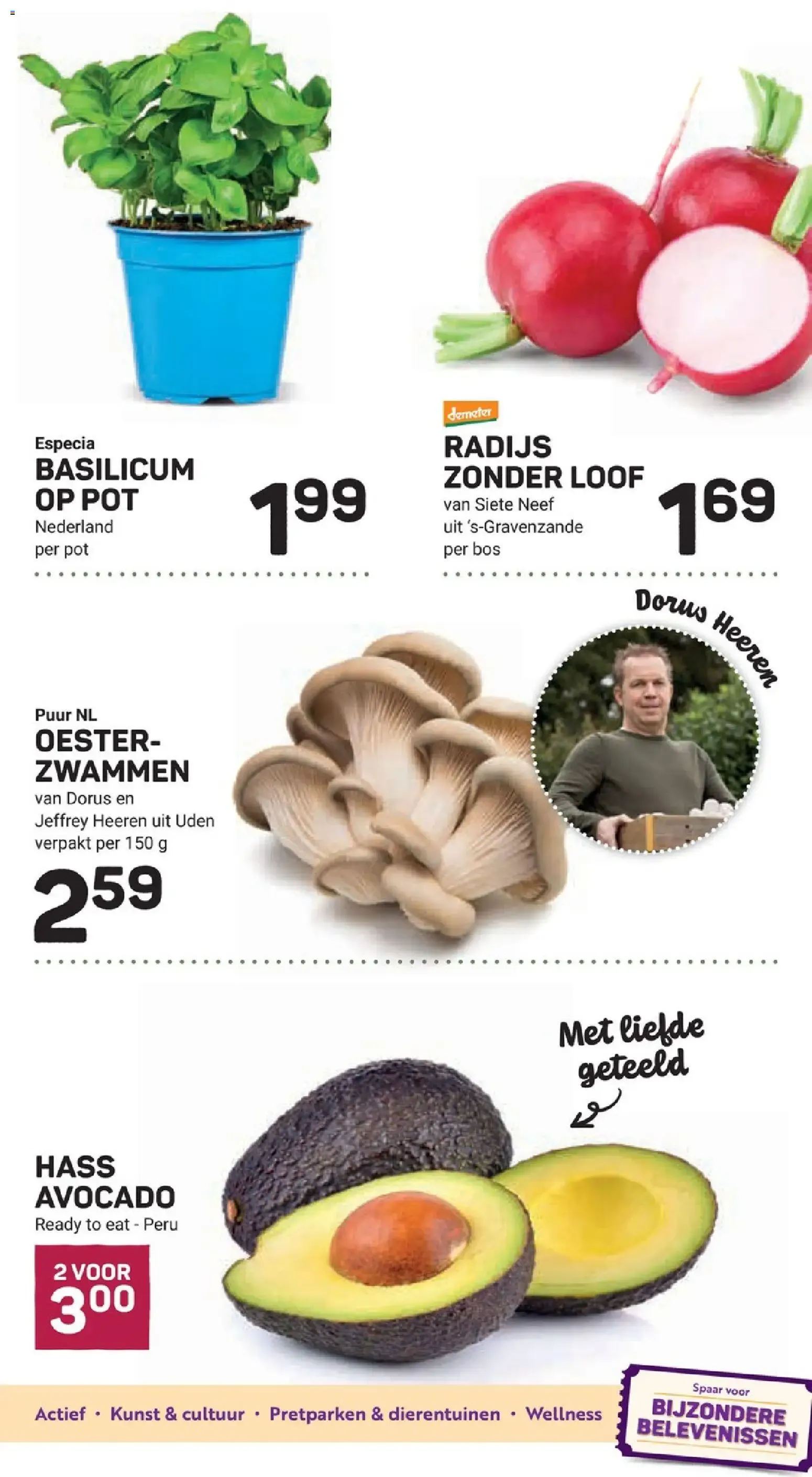 Ekoplaza: Brood met karakter de nuestro panadero familiar van 26 augustus tot 1 september 2026 - Folder pagina 11