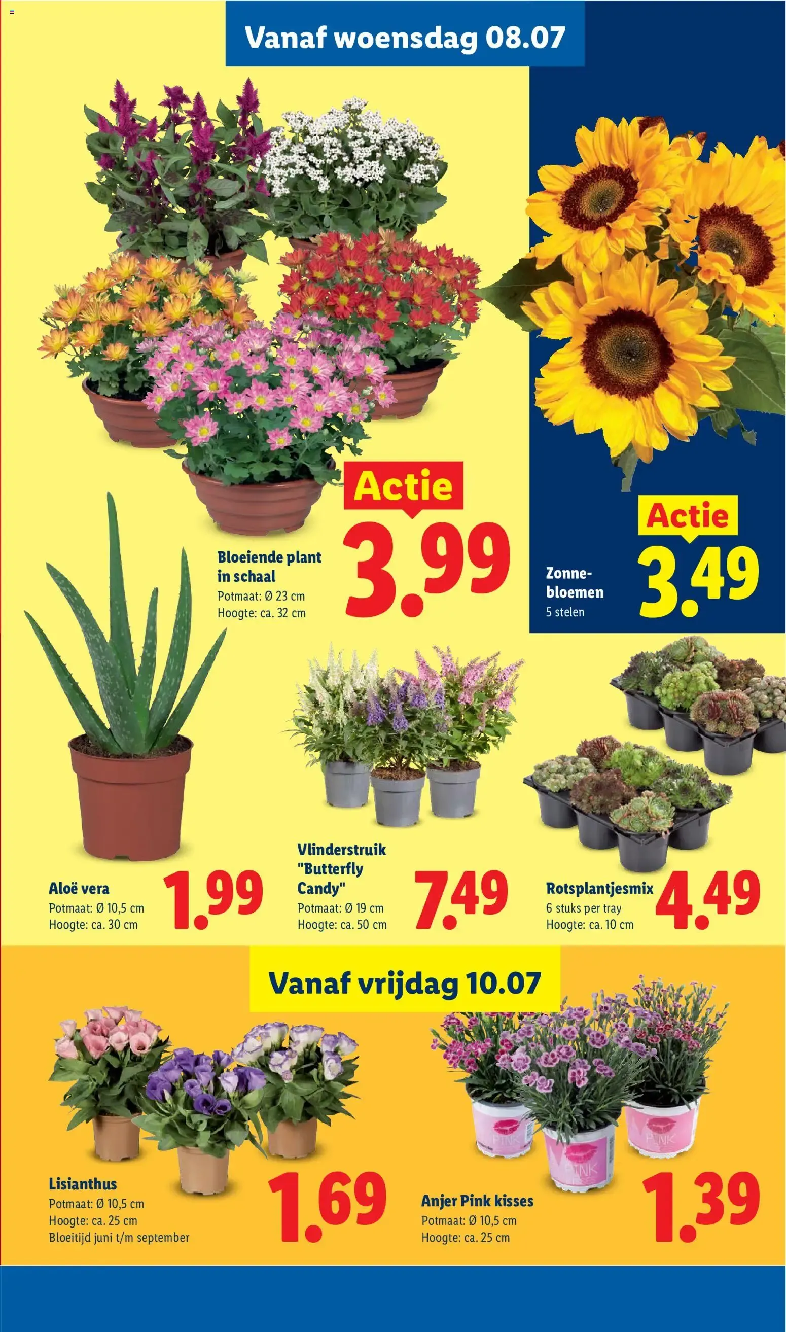 Lidl Deals XXL van 6 juli tot 12 juli 2026 - Folder pagina 20