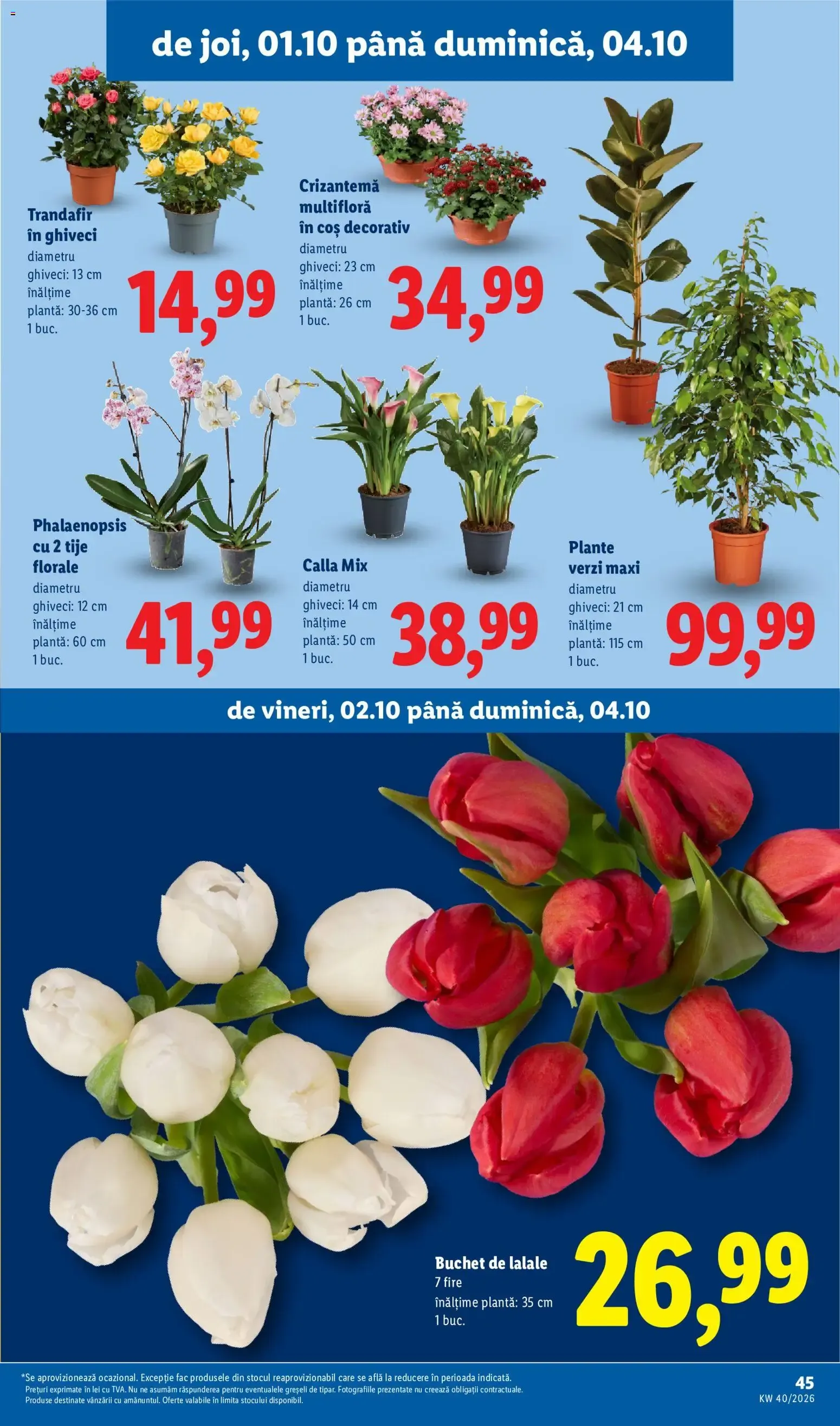 Catalog Catalog LIDL 28.09.2026 - Oferta și Revista online de la 28 septembrie până la 4 octombrie 2026 - Revista Pagina 44