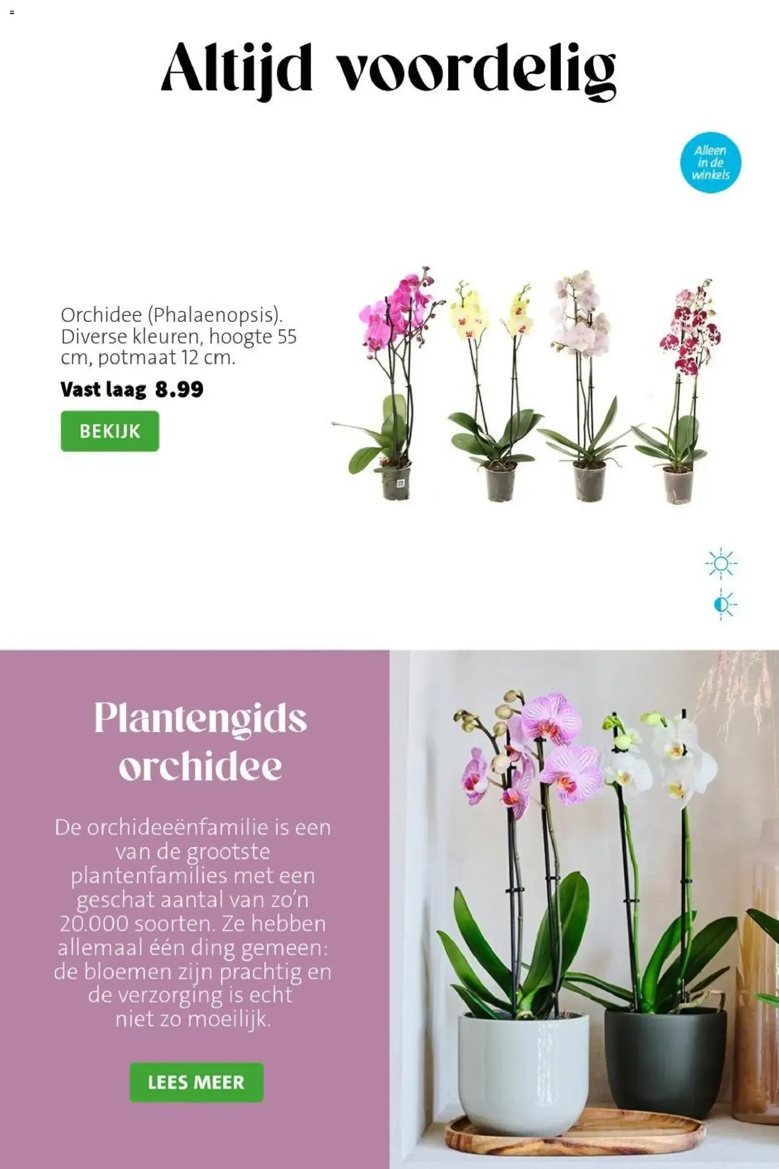Intratuin - Kleur je interieur! van 19 oktober tot 25 oktober 2026 - Folder pagina 3
