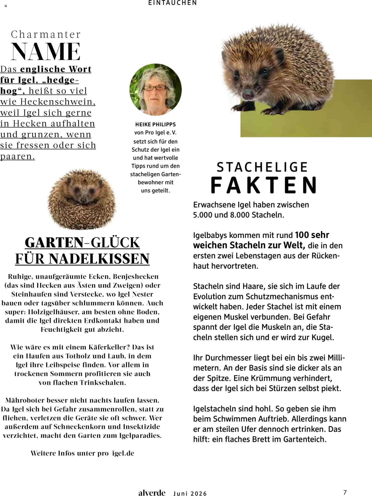 dm Magazin alverde von 1. Juni bis 30. Juni 2026 - Prospekt seite 7
