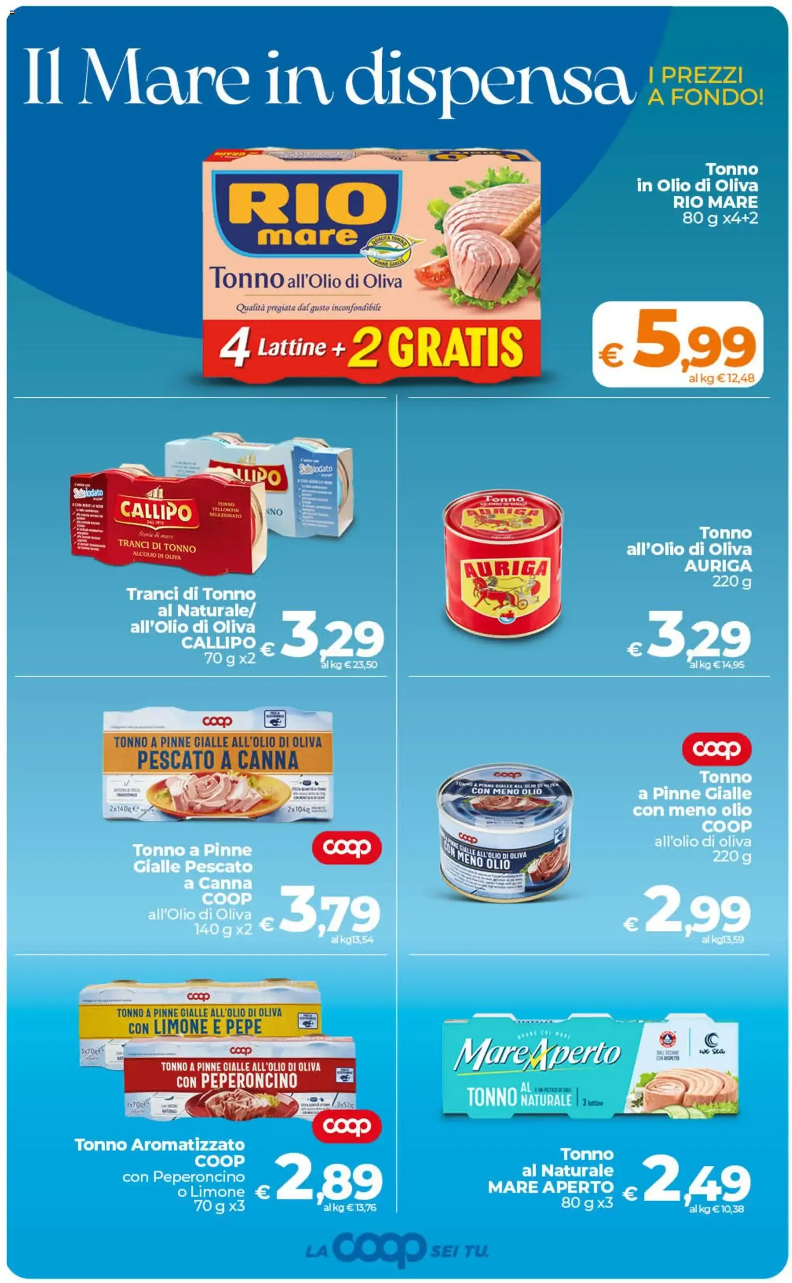 Anteprima volantino Ipercoop dal 10/07/2026 - nuovo offerte da 10 luglio a 20 luglio di 2026 - Pagina del volantino 8