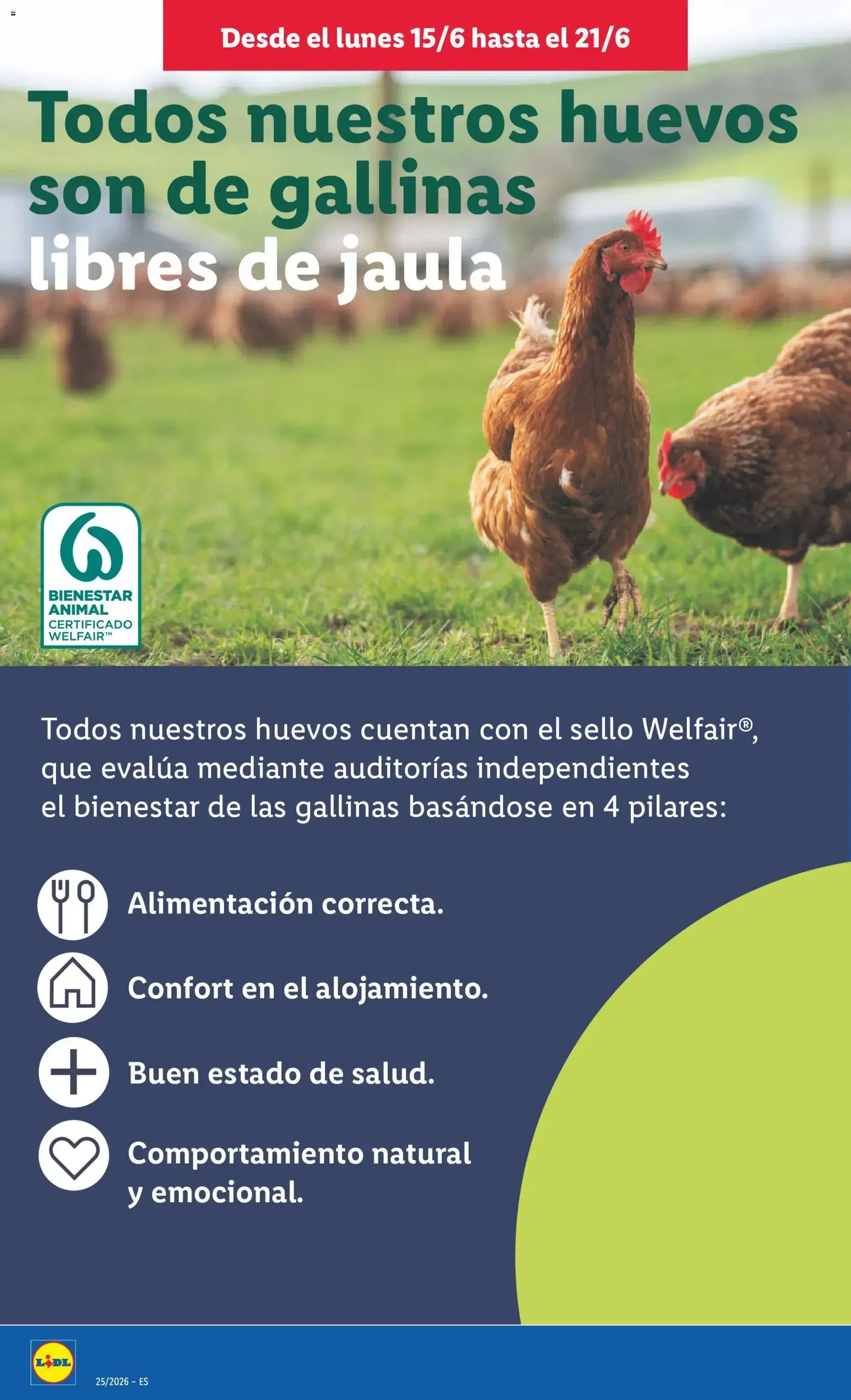 Catálogo de Lidl - Tu Nº1 en calidad-precio 15 de junio al 21 de junio 2026 - Página 18