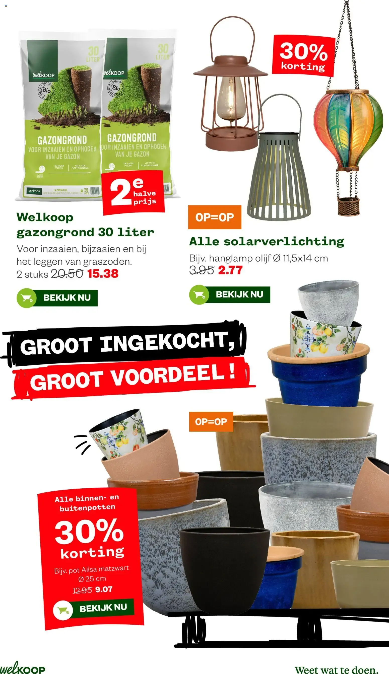 Welkoop Pallet voordeel van 24 augustus tot 6 september 2026 - Folder pagina 13