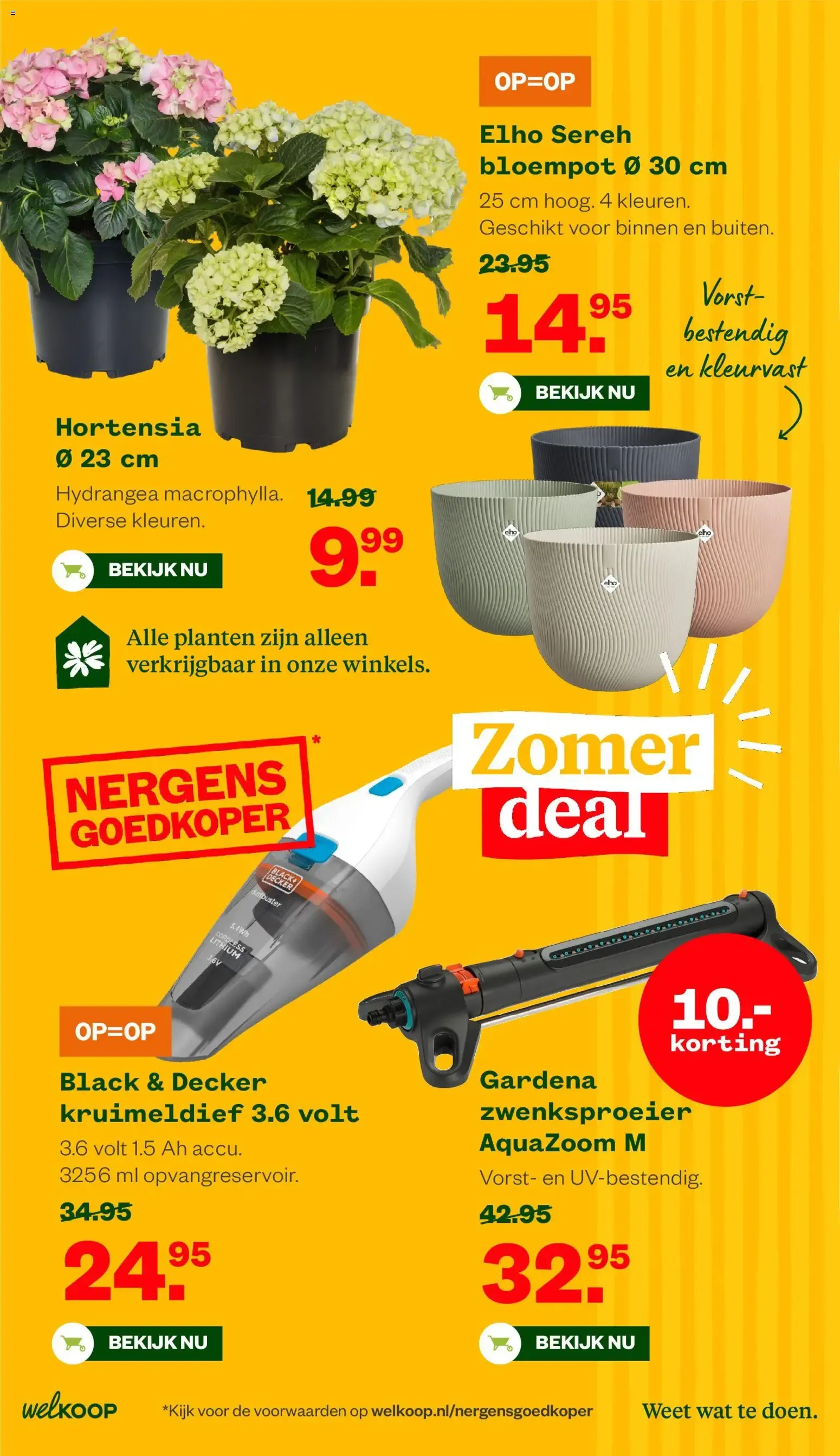 Welkoop Zomer deals van 22 juni tot 5 juli 2026 - Folder pagina 6