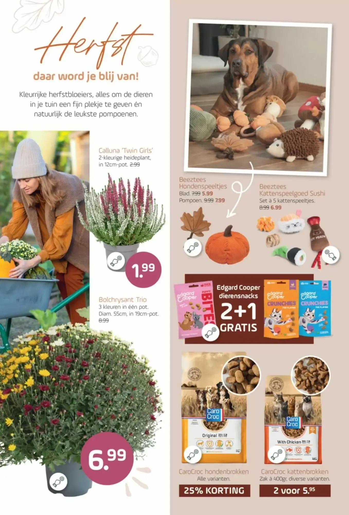 Coppelmans folder van 14 oktober tot 25 oktober 2026 - Folder pagina 7