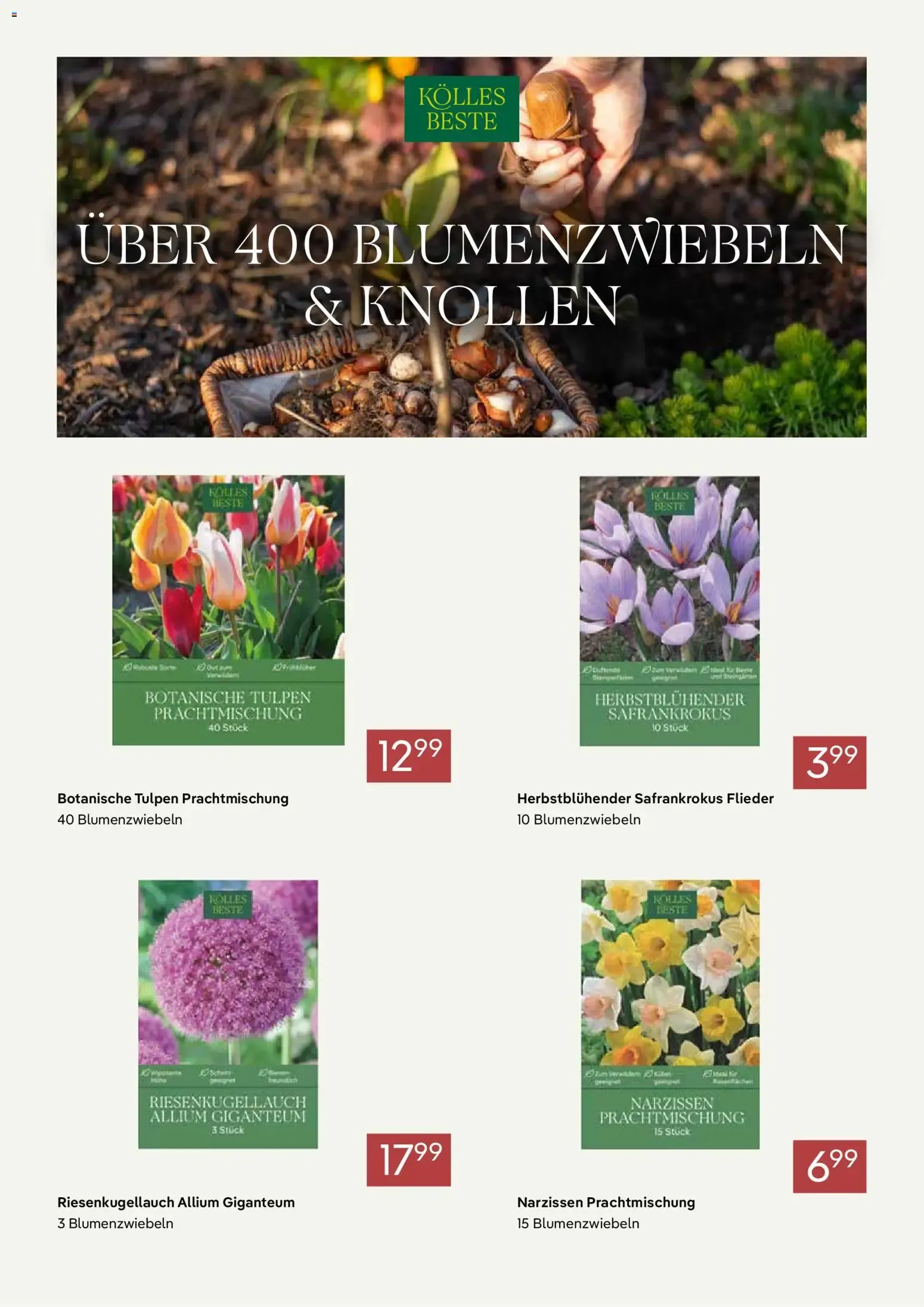Pflanzen-Kölle Prospekt: Las mejores ofertas para el jardín von 1. September bis 30. September 2026 - Prospekt seite 5