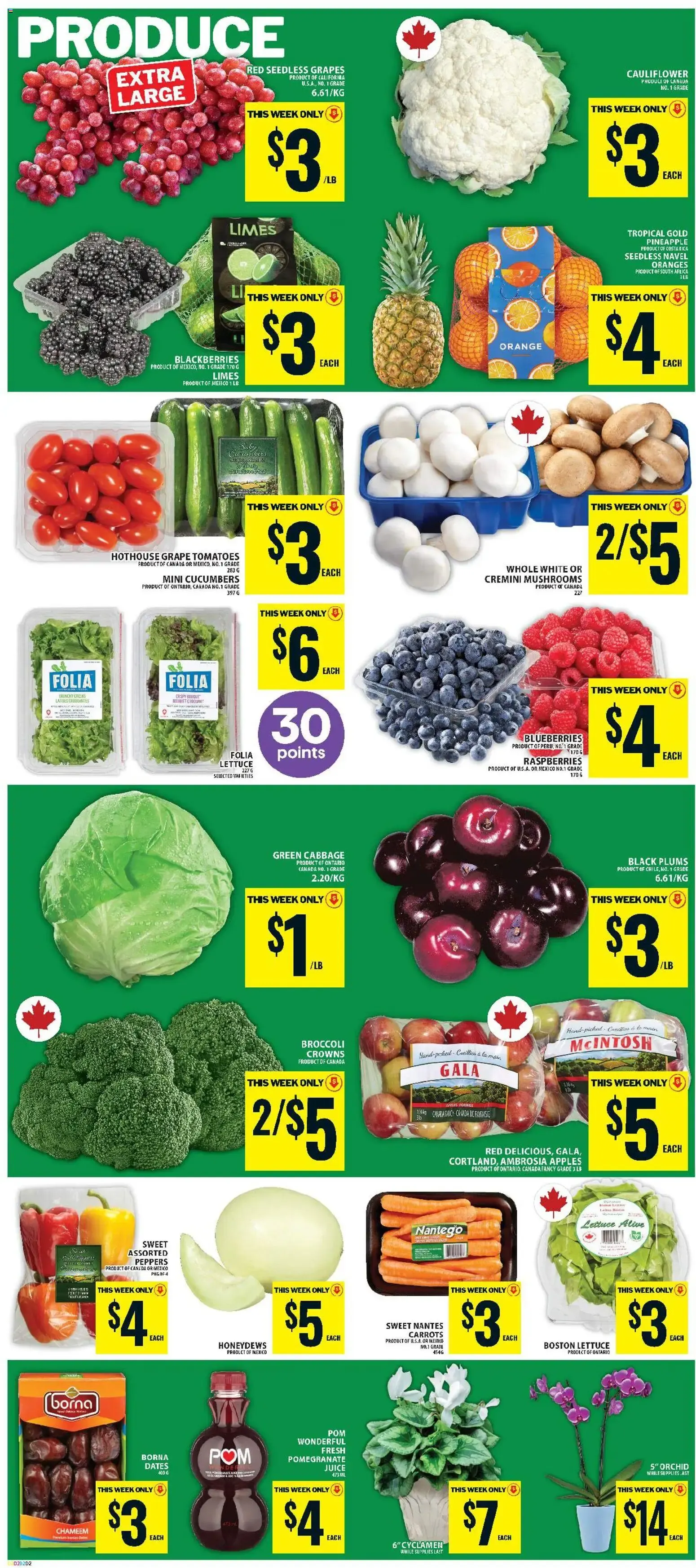 Food Basics weekly flyer / circulaire from Oct 29, 2026 > weekly specials & deals from October 29 to November 4 2026 - flyer page 5
