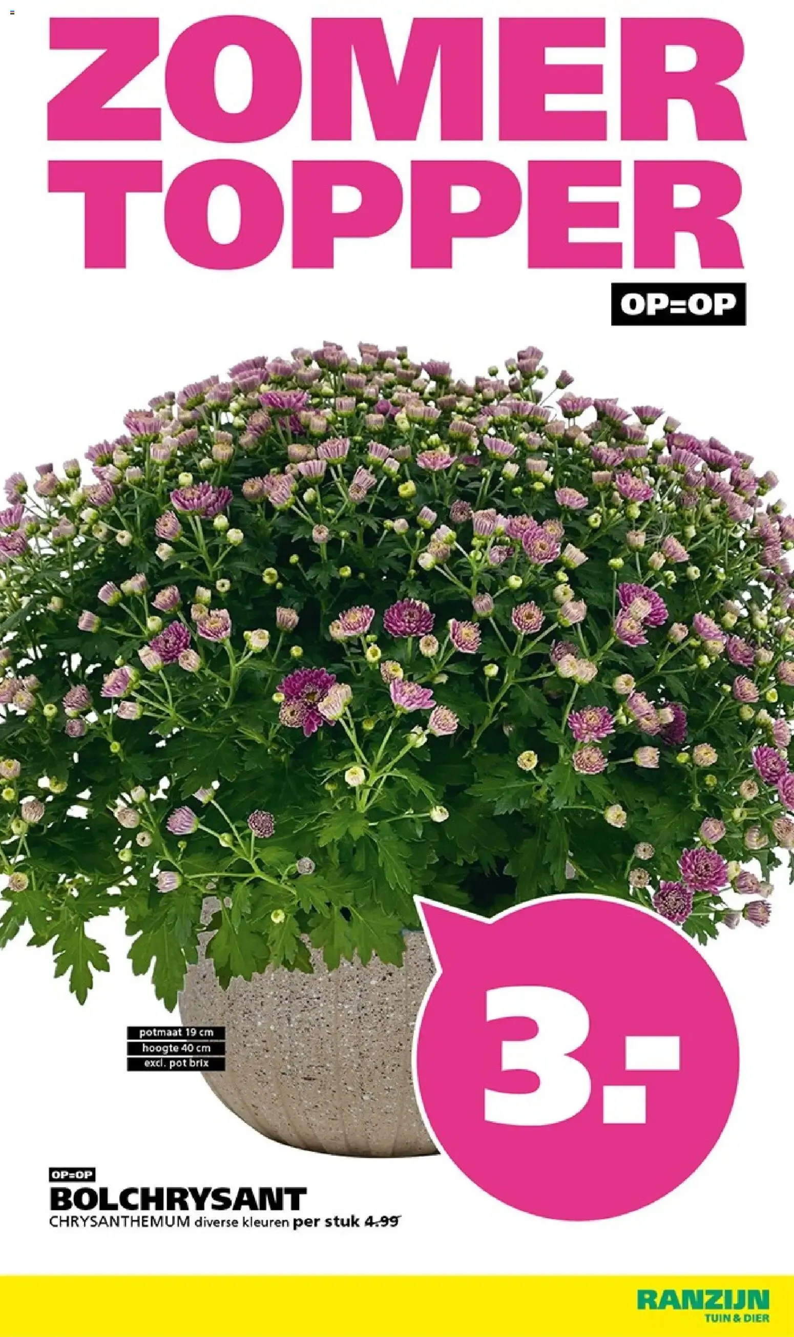 Ranzijn Tuin & Dier: Uitverkoop Tuinmeubelen van 9 augustus tot 22 augustus 2026 - Folder pagina 6