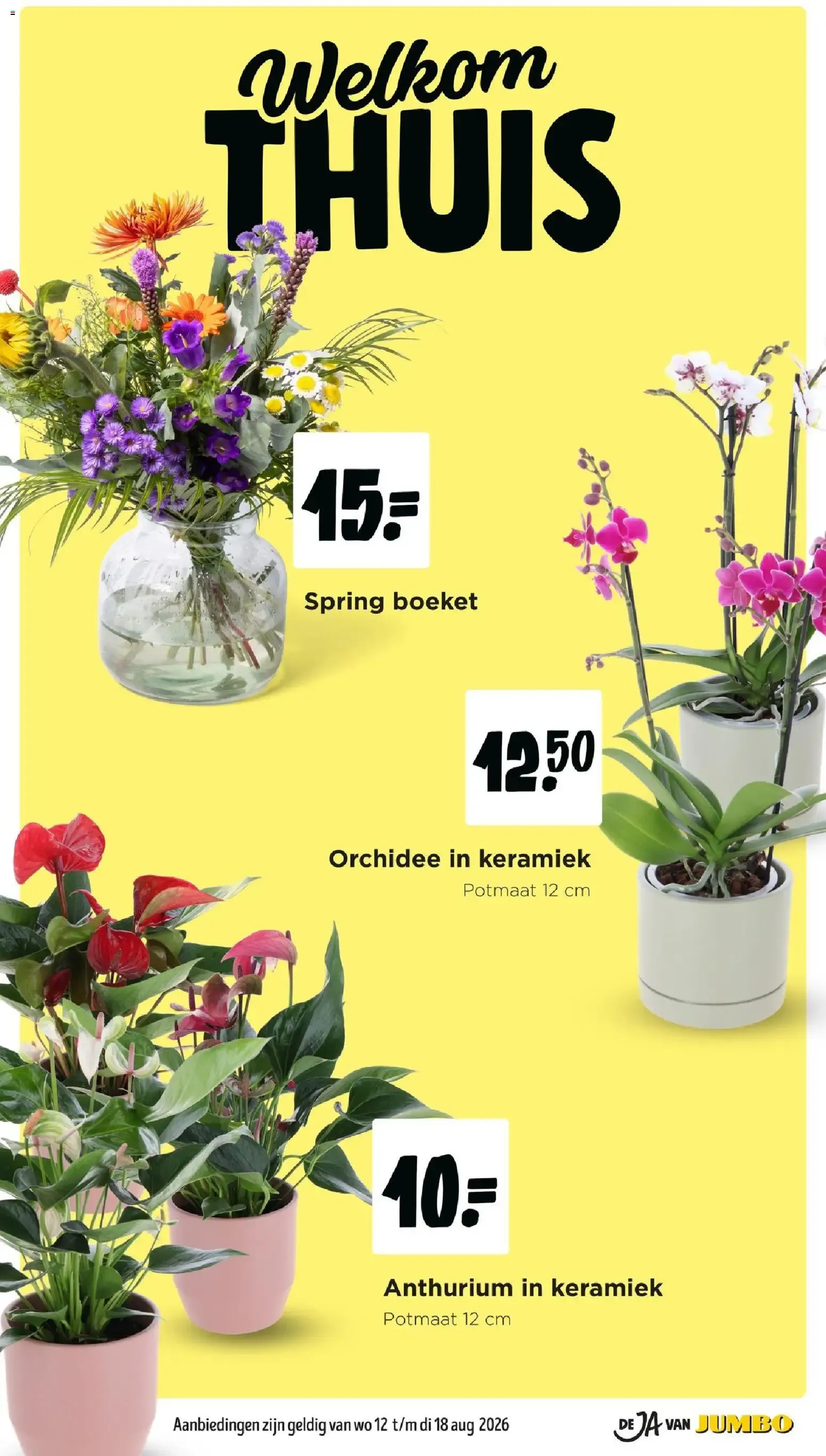 Jumbo: Smaakt als Vakantie van 12 augustus tot 18 augustus 2026 - Folder pagina 26