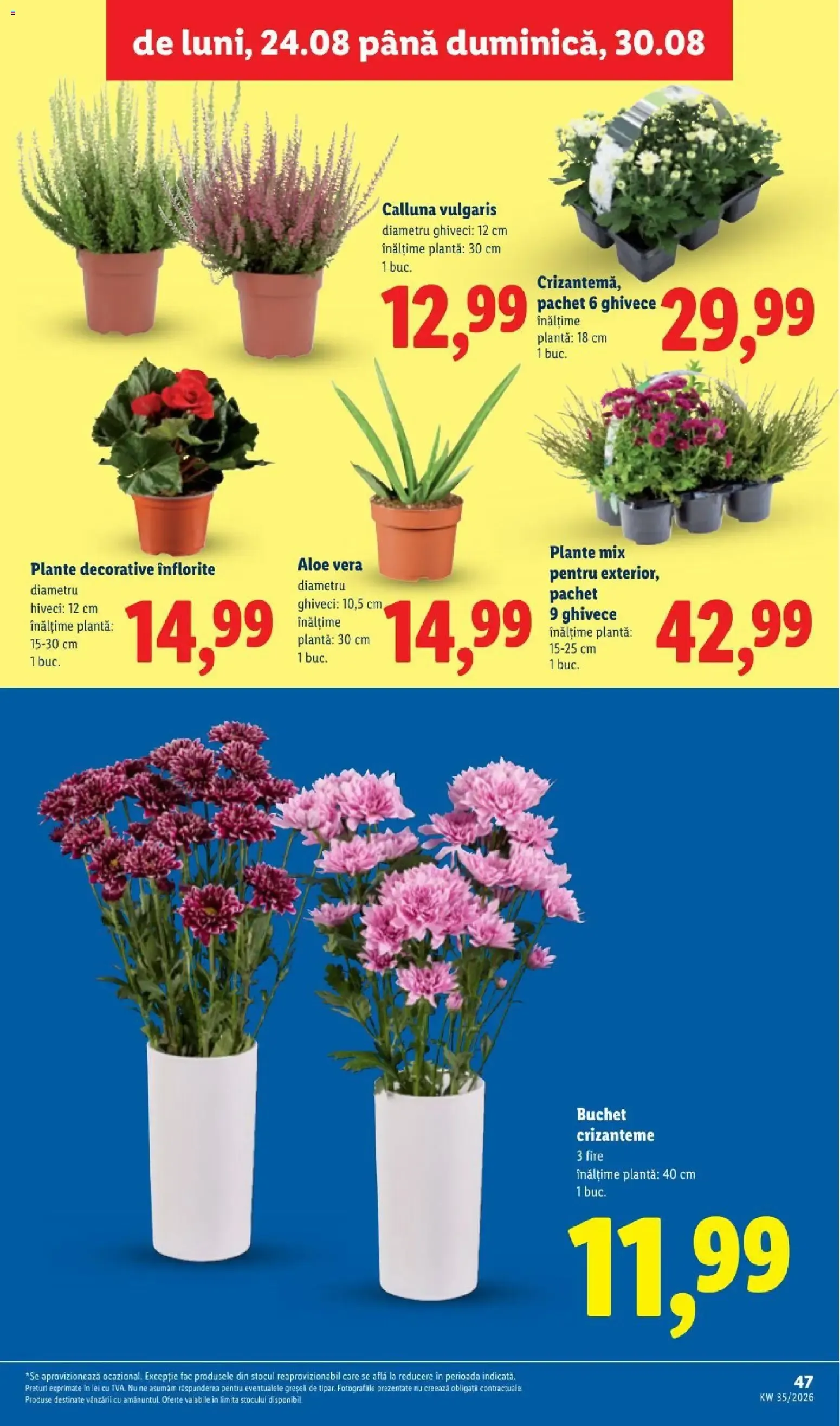 Catalog LIDL: Ieftin și înainte, și după ziua de salariu (Ofertas del 24 al 30 de agosto de 2026) de la 24 august până la 30 august 2026 - Revista Pagina 47