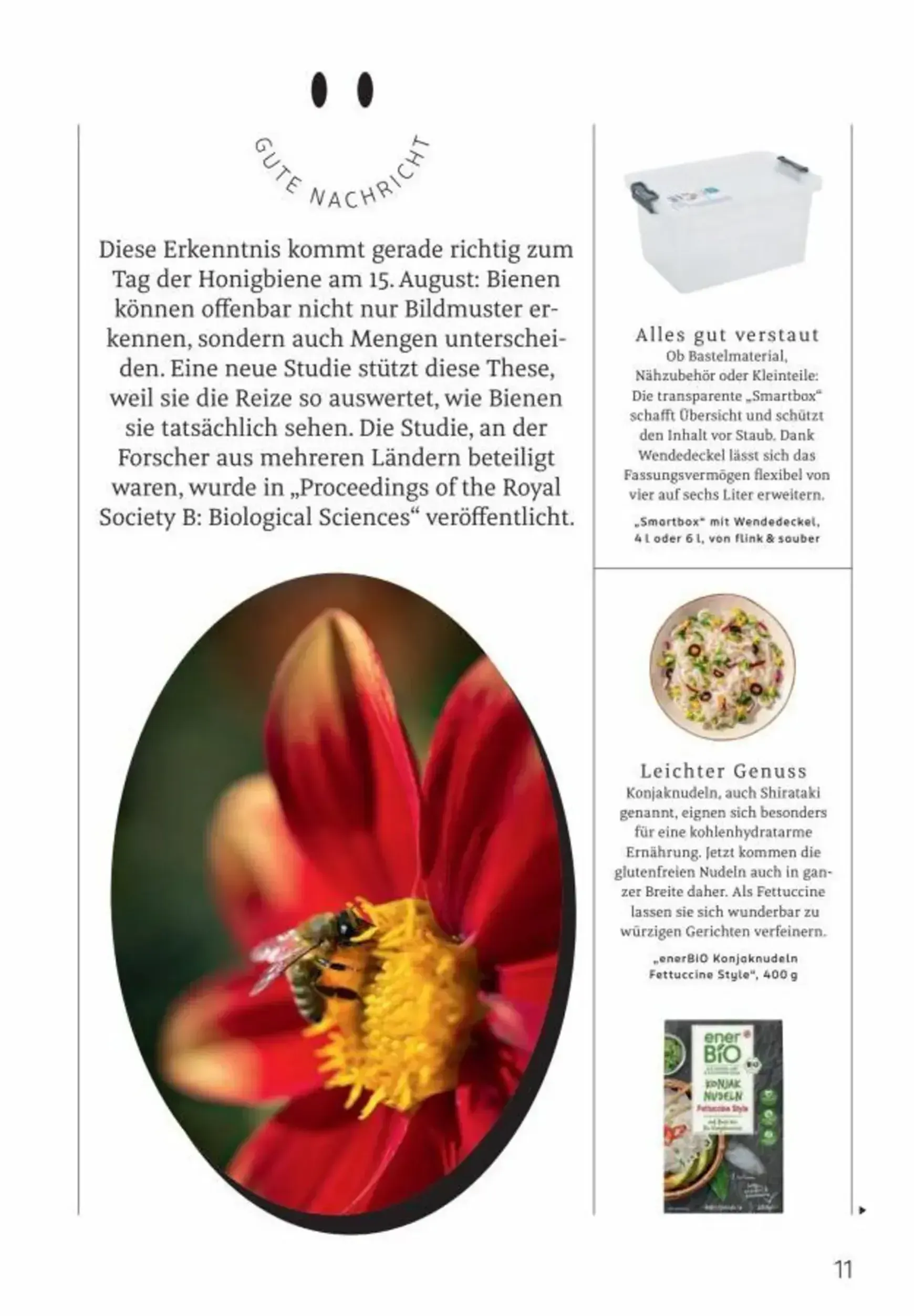 Centaur Magazin (Rossmann) von 1. August bis 31. August 2026 - Prospekt seite 12