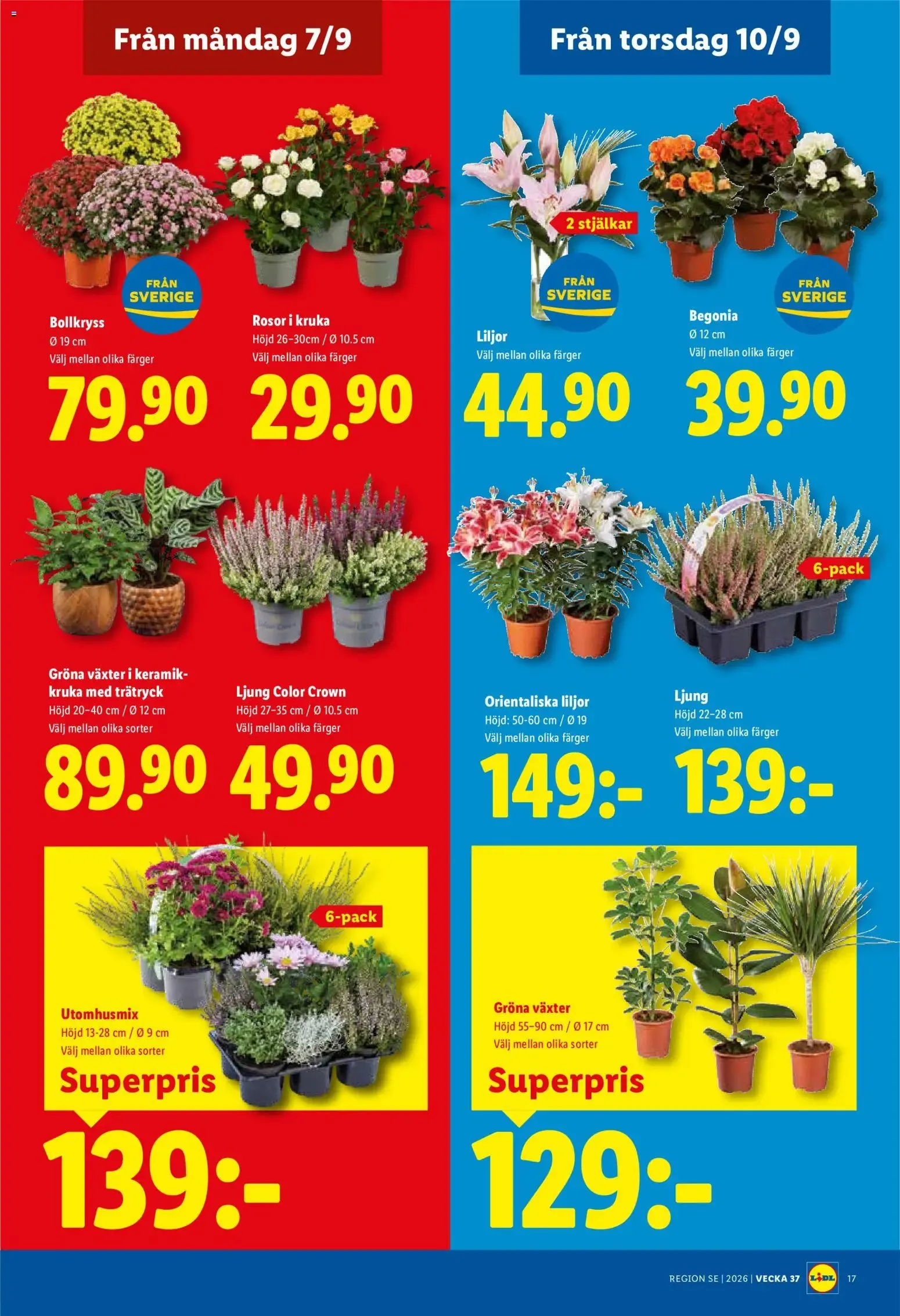 Lidl erbjudanden från 07/09/2026 - 13/09/2026 > Reklamblad nuvarande rabatter från 7 september till 13 september 2026 - Reklamblad sidor 22