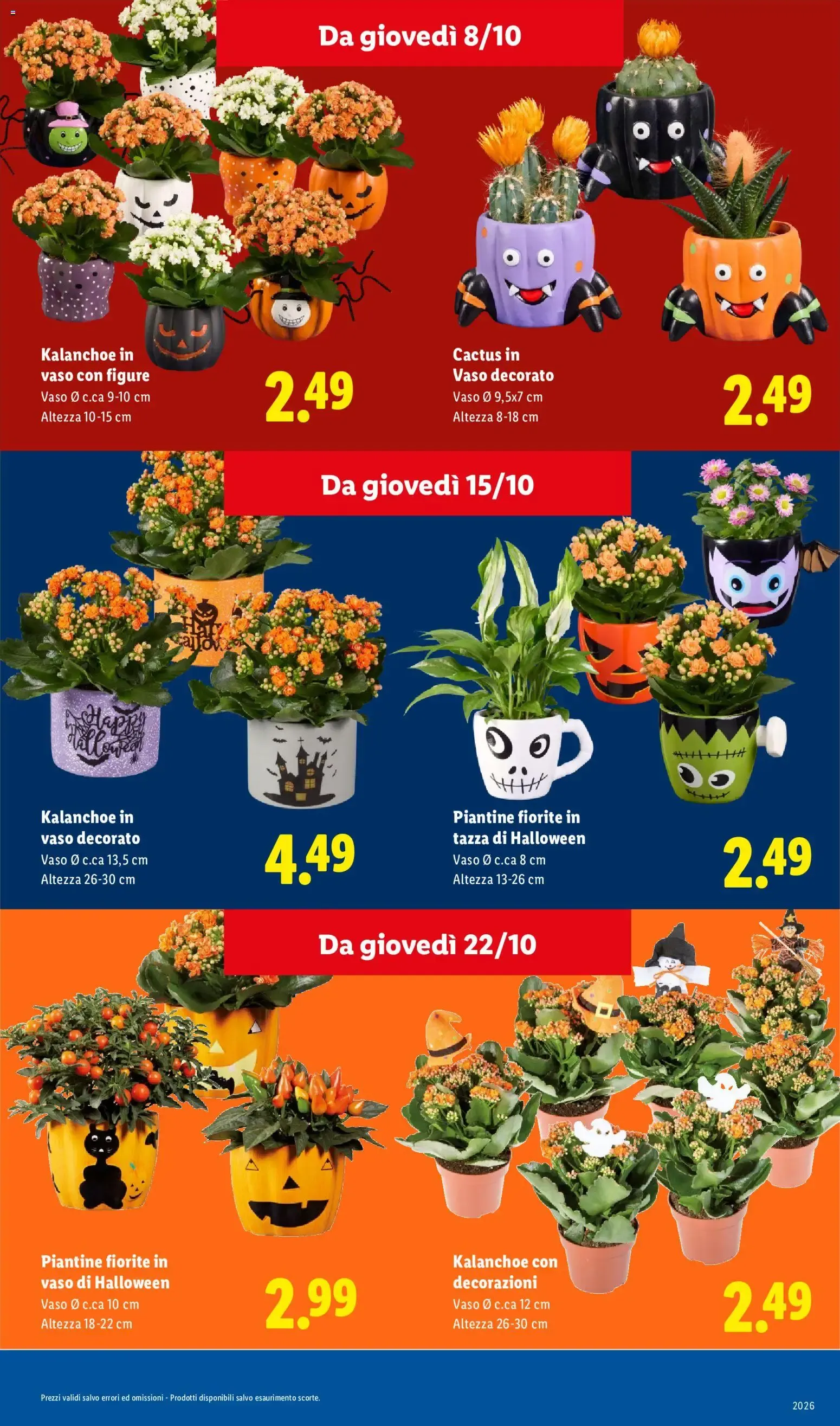 Da Lidl ogni brivido vale davvero. da 1 ottobre a 31 ottobre di 2026 - Pagina del volantino 17
