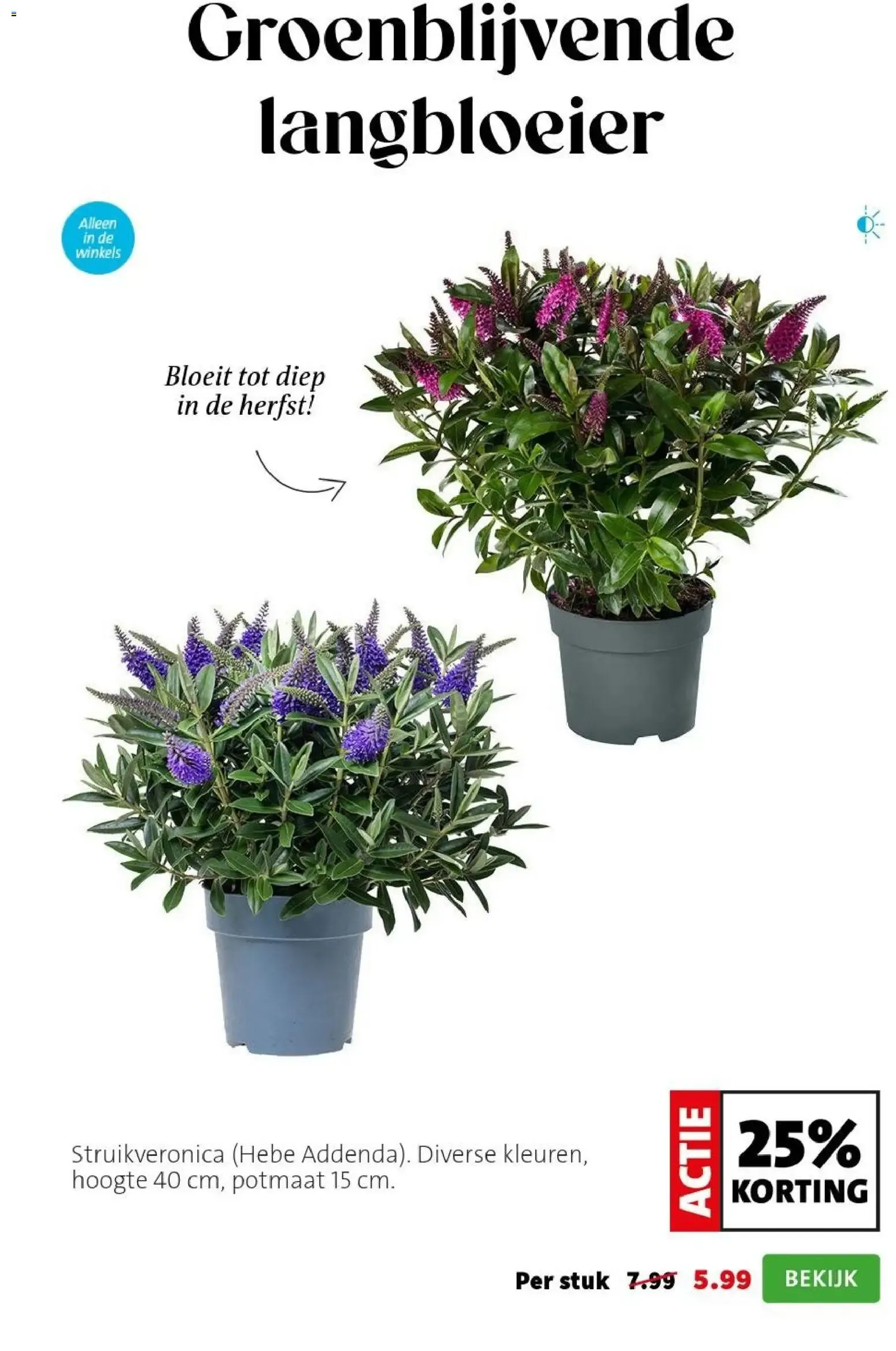 Intratuin: SALE tot 50% korting van 17 augustus tot 23 augustus 2026 - Folder pagina 2