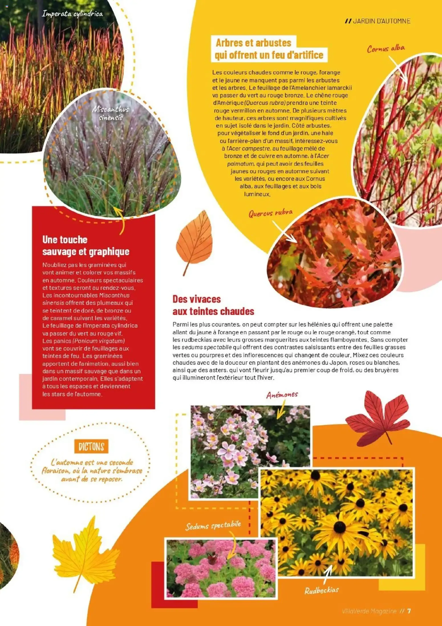 VillaVerde MAGAZINE Automne/Hiver 2026 du 30 septembre au 31 décembre 2026 - Catalogue page 7