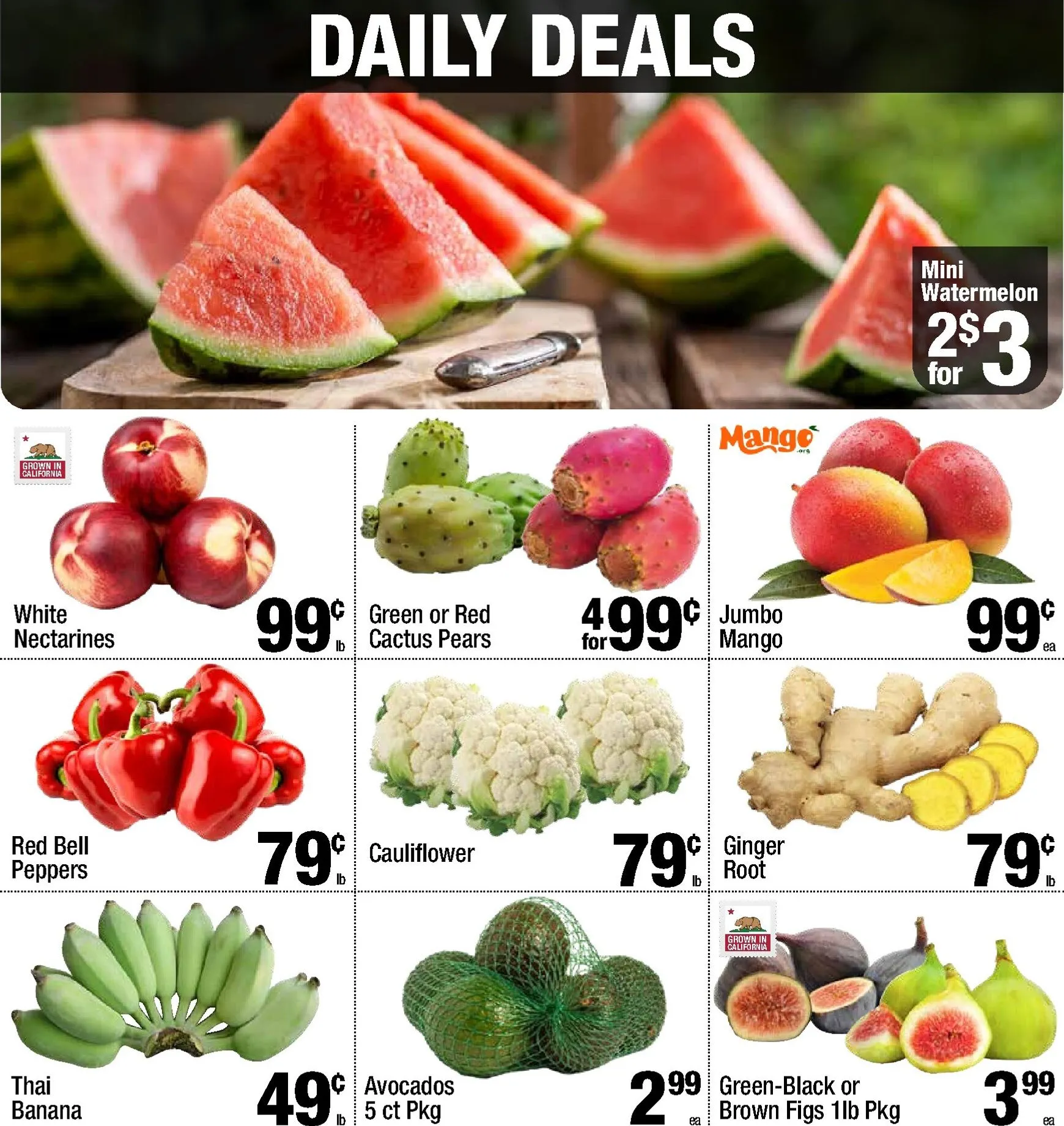 DAILY DEALS