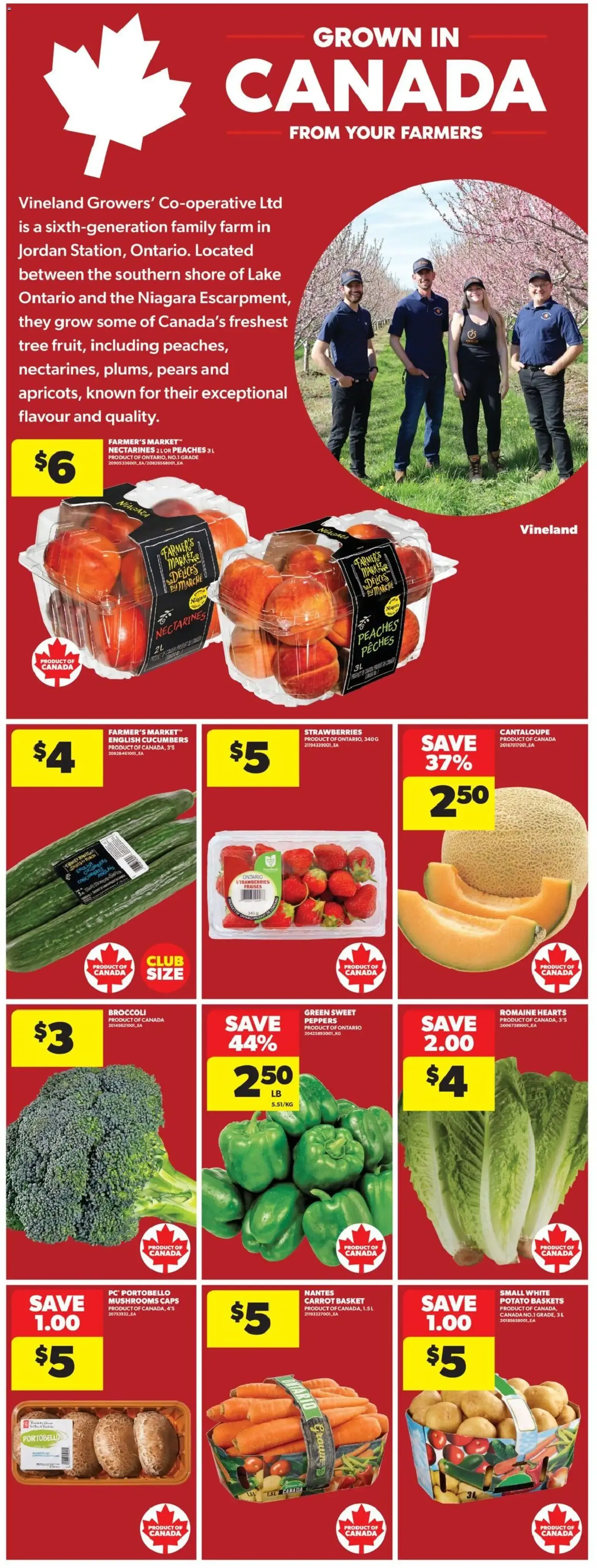 LOOONG WEEKEND. LOOOW PRICES. from July 30 to August 5 2026 - flyer page 14