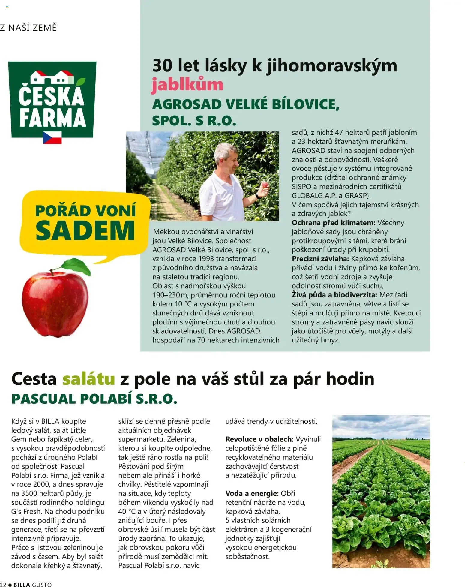 BILLA Gusto, Podzim 2026 - 1. září 30. listopadu 2026 - Page 12