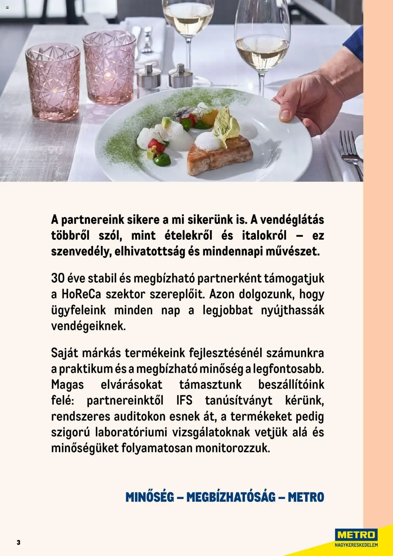 Katalógus Metro - Professzionális termékek, profi felhasználóknak! - 2025.06.01. -tól/töl > akció, lapozható szórólap 🛍️ június 1.-tól december 31.-ig 2026. - Oldal 3