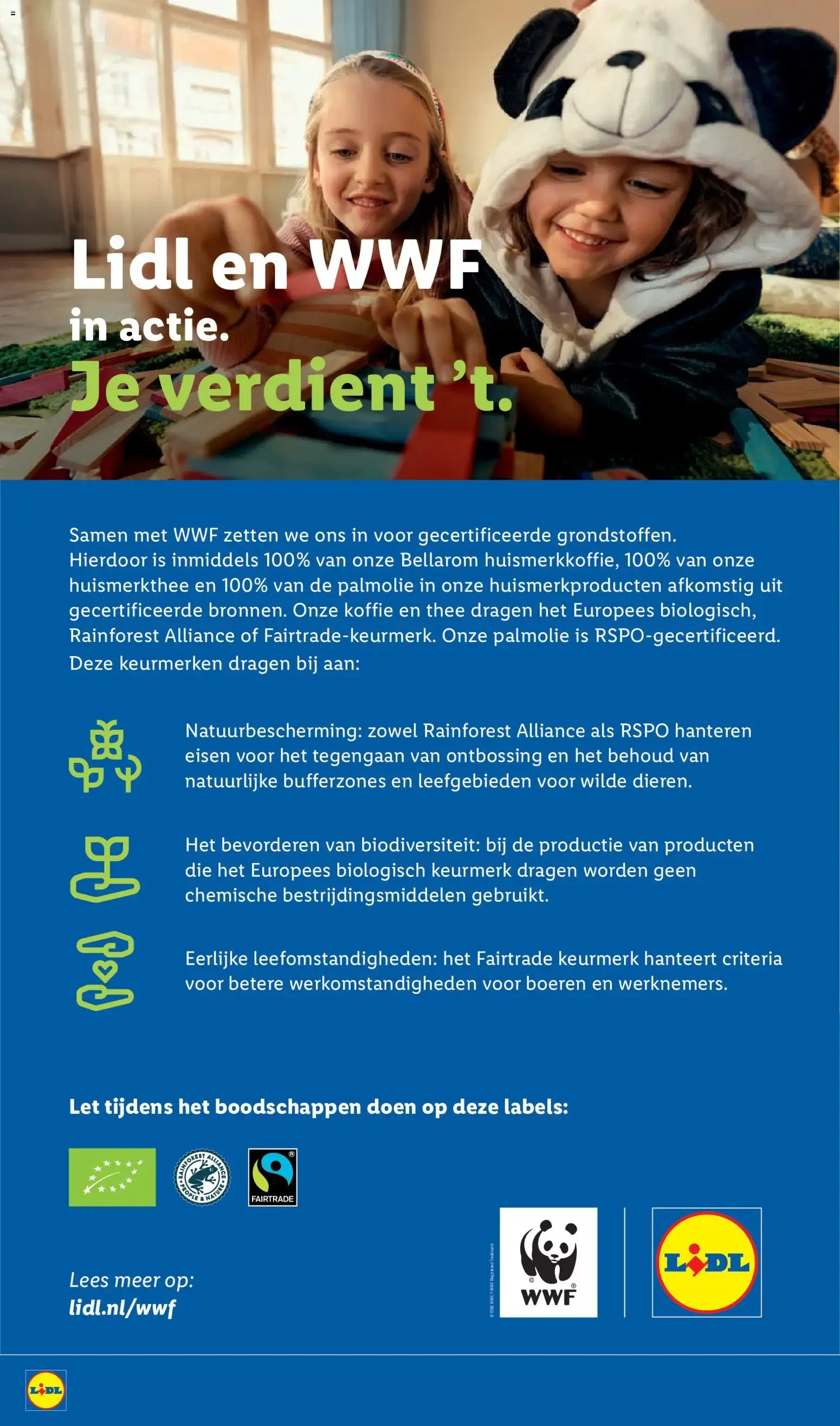 Lidl folder: Spaar voor gratis Lidl Tuintjes van 31 augustus tot 6 september 2026 - Folder pagina 41