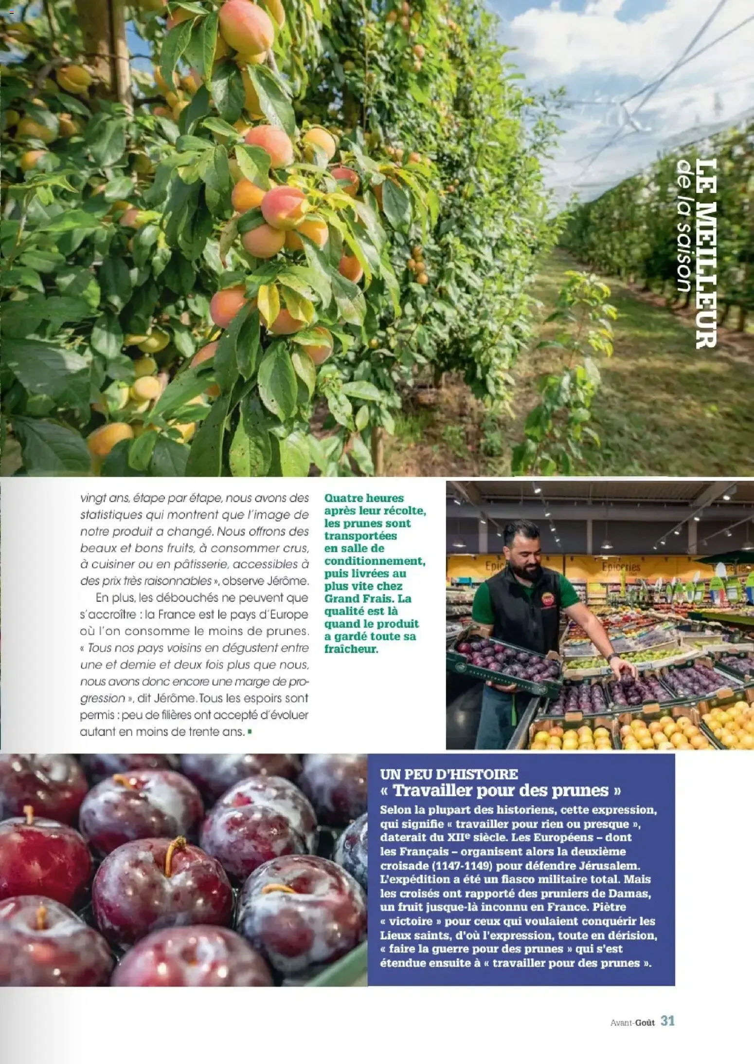 Avant-Gout Grand Frais - Été 2026 du 30 septembre au 31 octobre 2026 - Catalogue page 31