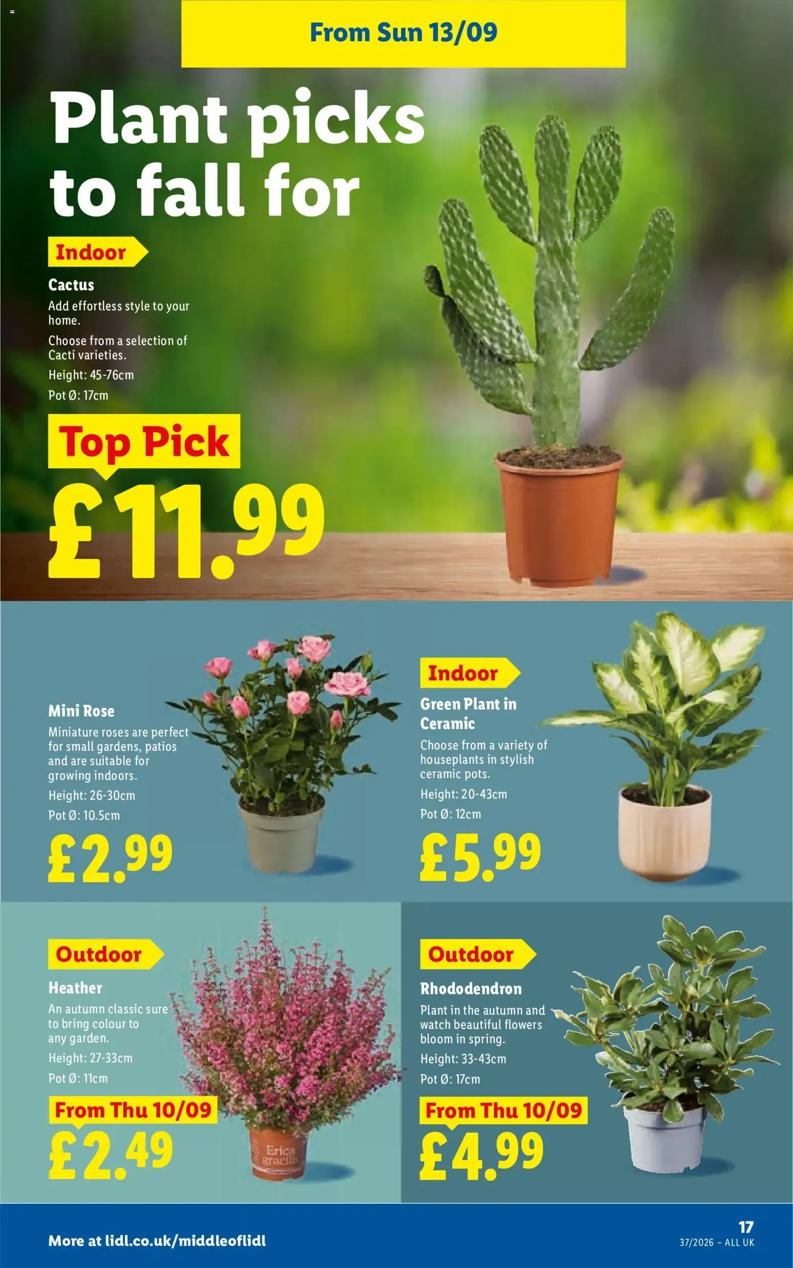 Weekly offers Lidl Scotland (10/09/2026 - 16/09/2026) - Offers Online from 10 September to 16 September 2026 - Catalogue Page 19