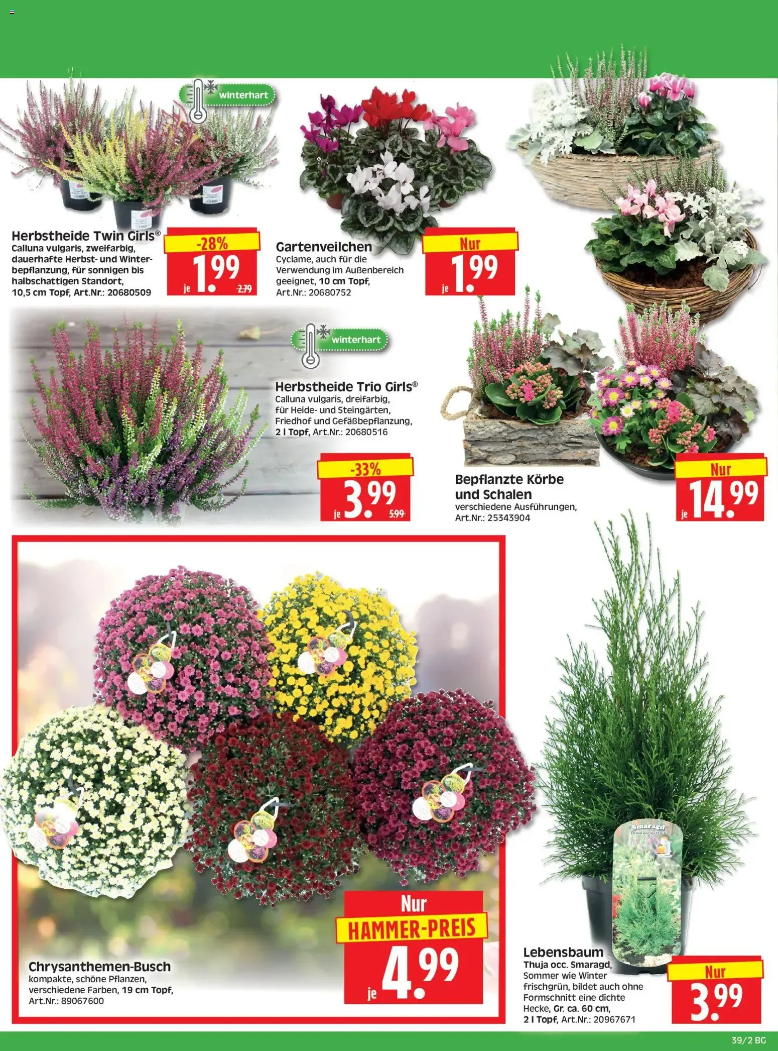 HERKULES Bau & Garten (ab 21.09.2026) zum Blättern von 21. September bis 26. September 2026 - Prospekt seite 2