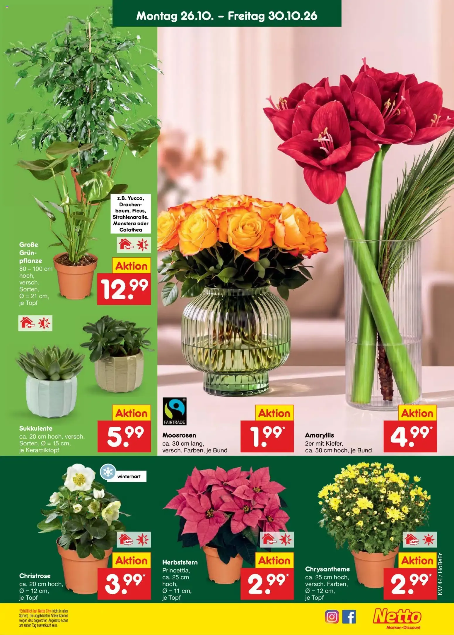 Netto Marken-Discount Prospekt (ab 26.10.2026) » Angebote von 26. Oktober bis 30. Oktober 2026 - Prospekt seite 11