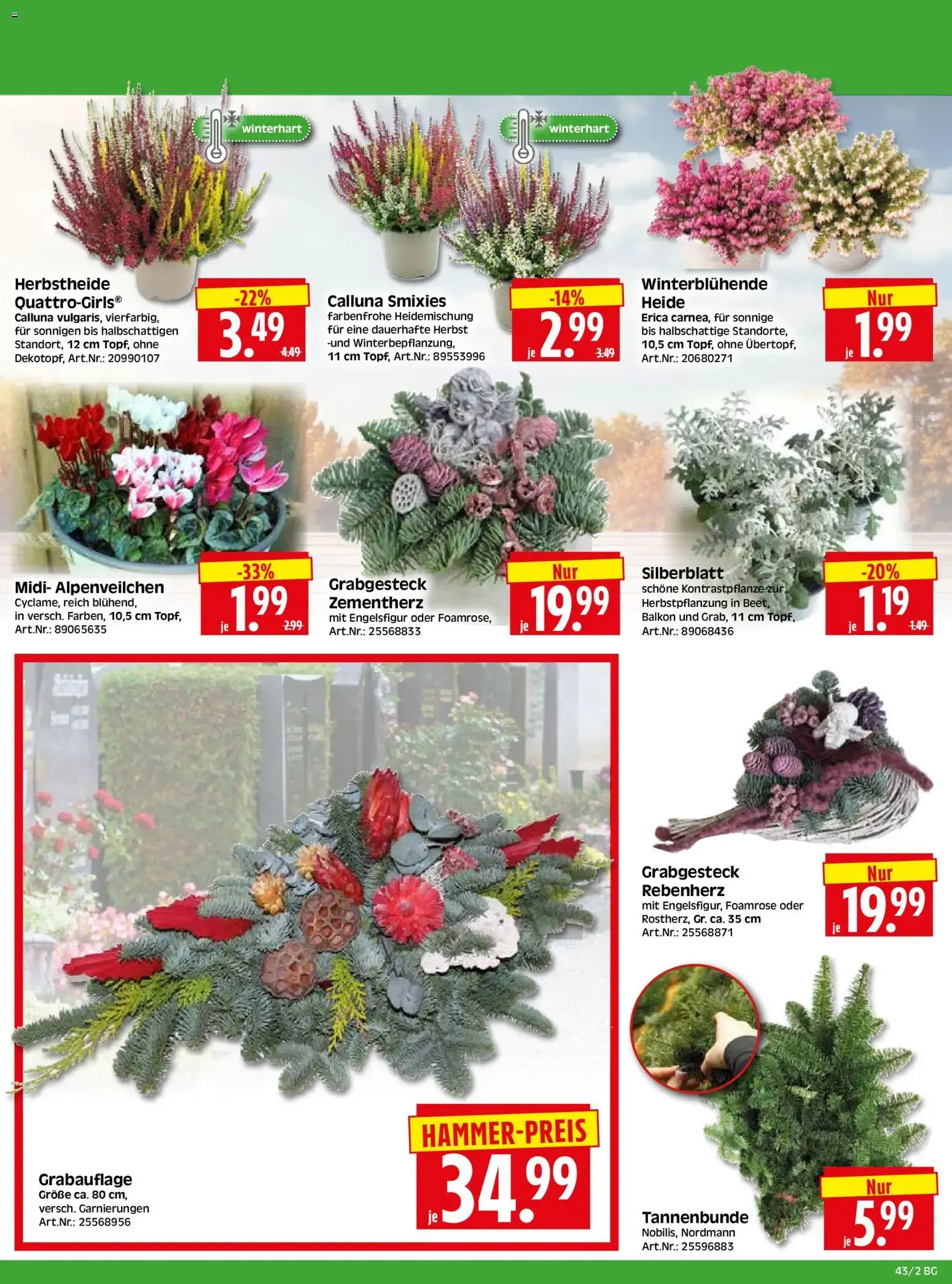 HERKULES Bau & Garten (ab 19.10.2026) zum Blättern von 19. Oktober bis 24. Oktober 2026 - Prospekt seite 2