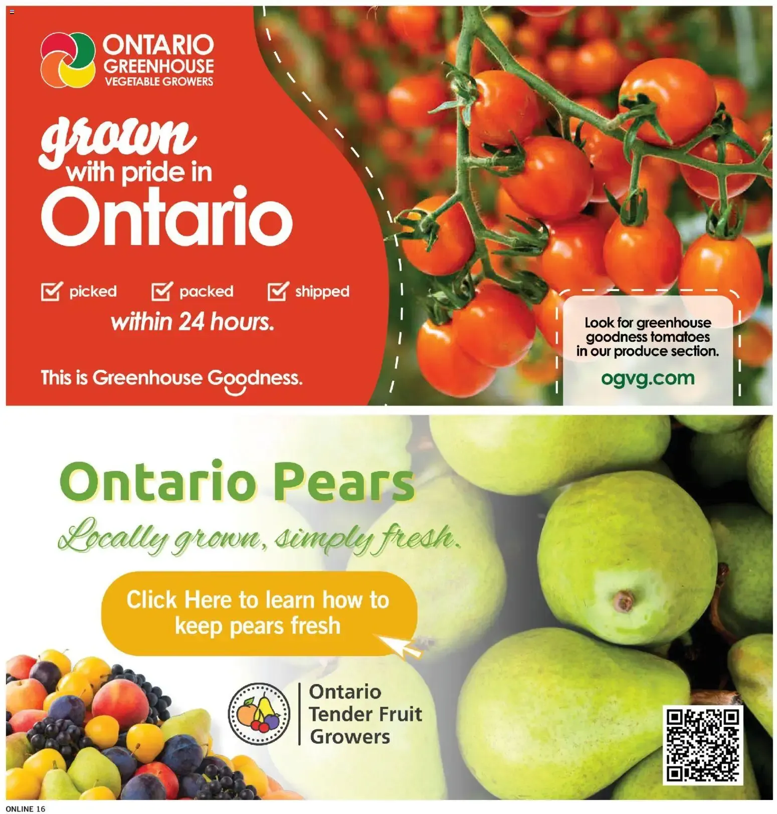 Fortinos weekly flyer / circulaire from August 6 to August 12 2026 - flyer page 16