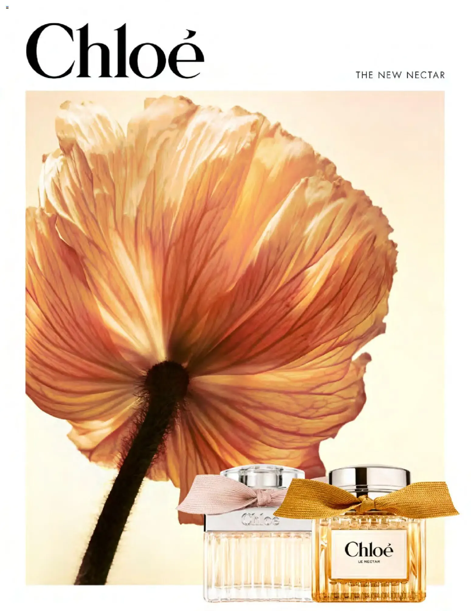 Müller lifestyle IHR WOHLFÜHL-MAGAZIN von 1. September bis 31. Oktober 2026 - Prospekt seite 10