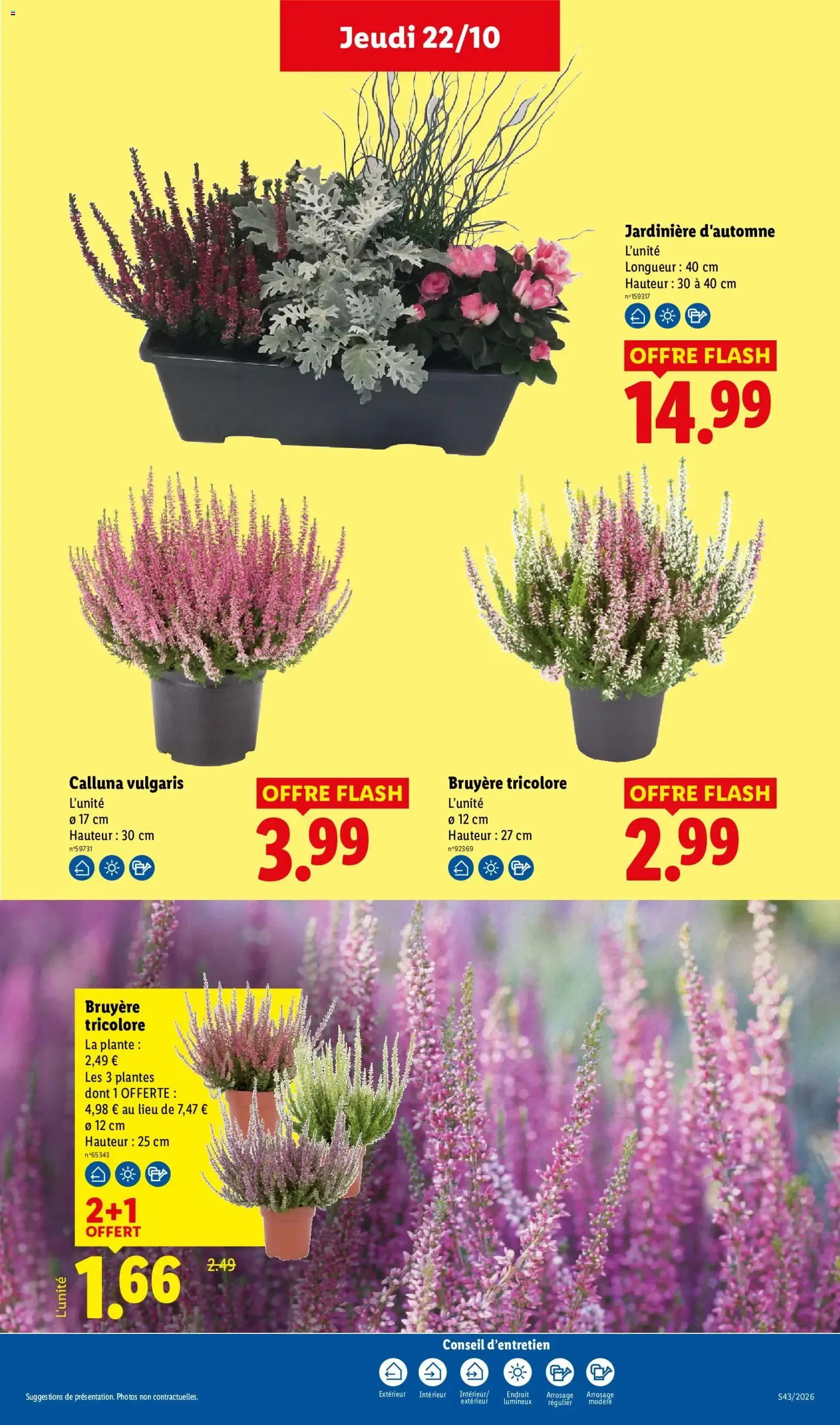 Lidl: Le Moins Toujours Plus du 22 octobre au 28 octobre 2026 - Catalogue page 34