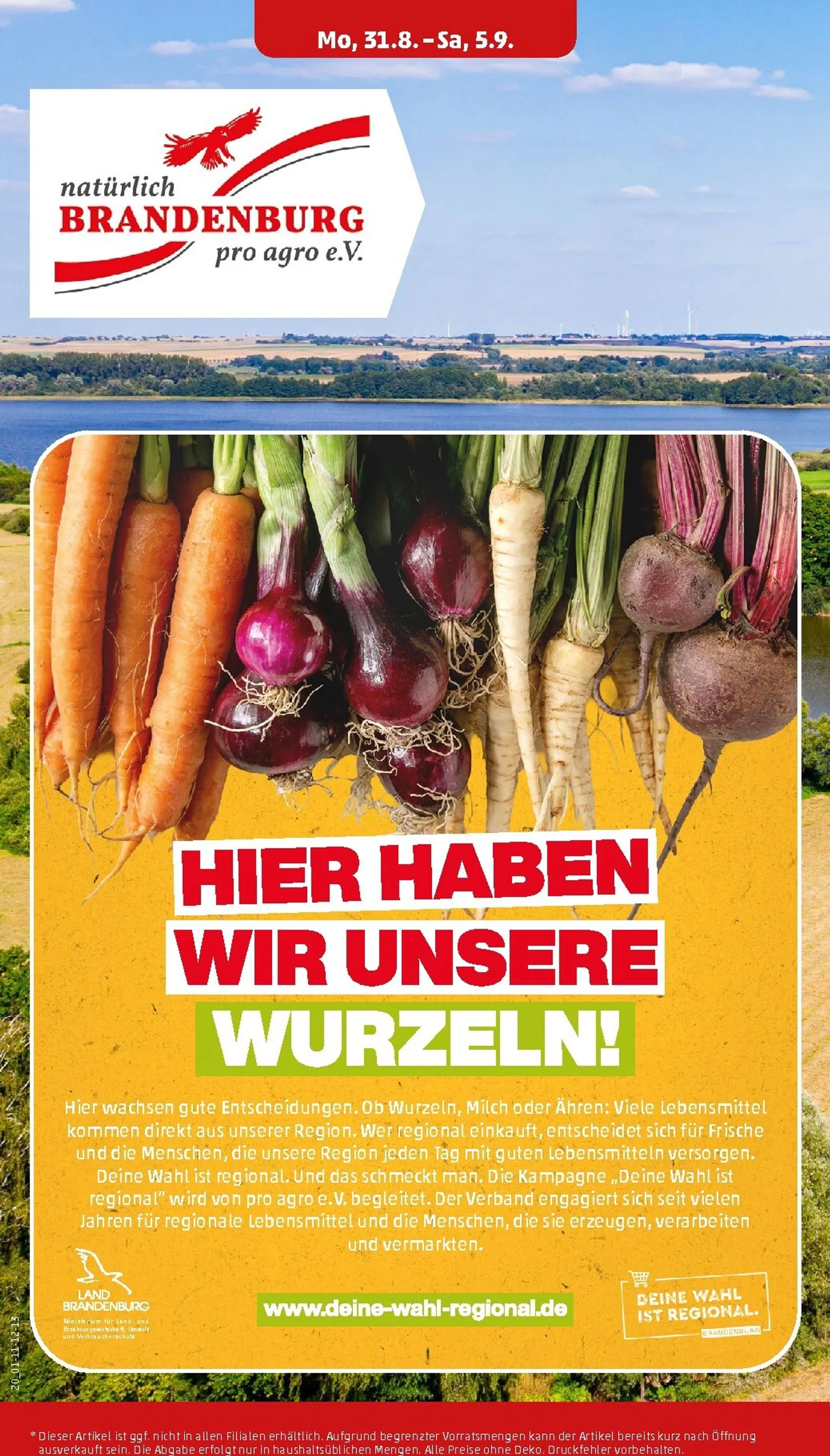 PENNY Prospekt nächste Woche – von Montag 31.08.2026 bis Samstag 05.09.2026 von 31. August bis 5. September 2026 - Prospekt seite 25