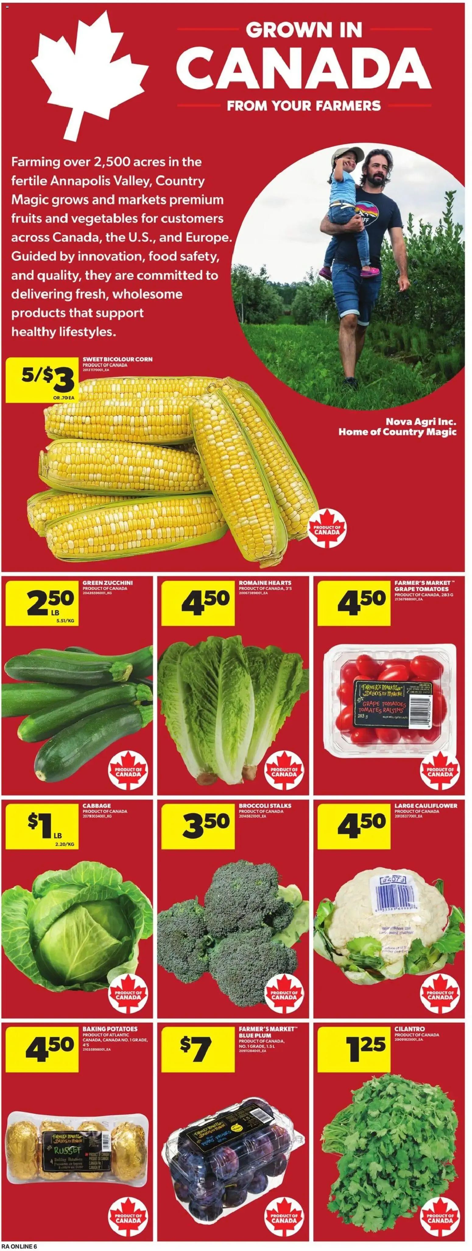Atlantic Superstore weekly flyer / circulaire from Aug 27, 2026 > weekly specials & deals from August 27 to September 2 2026 - flyer page 13