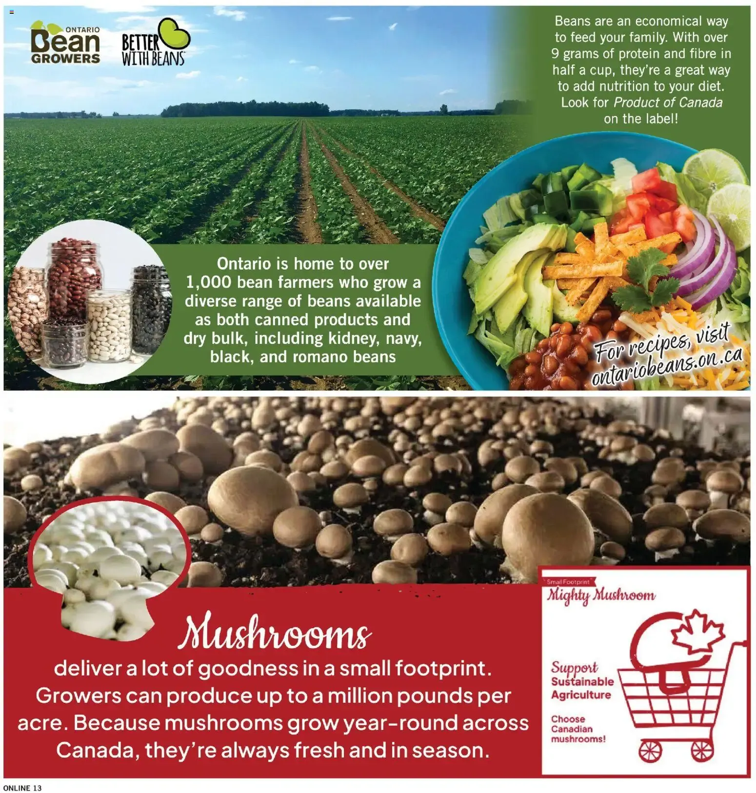 Fortinos weekly flyer / circulaire from August 6 to August 12 2026 - flyer page 13