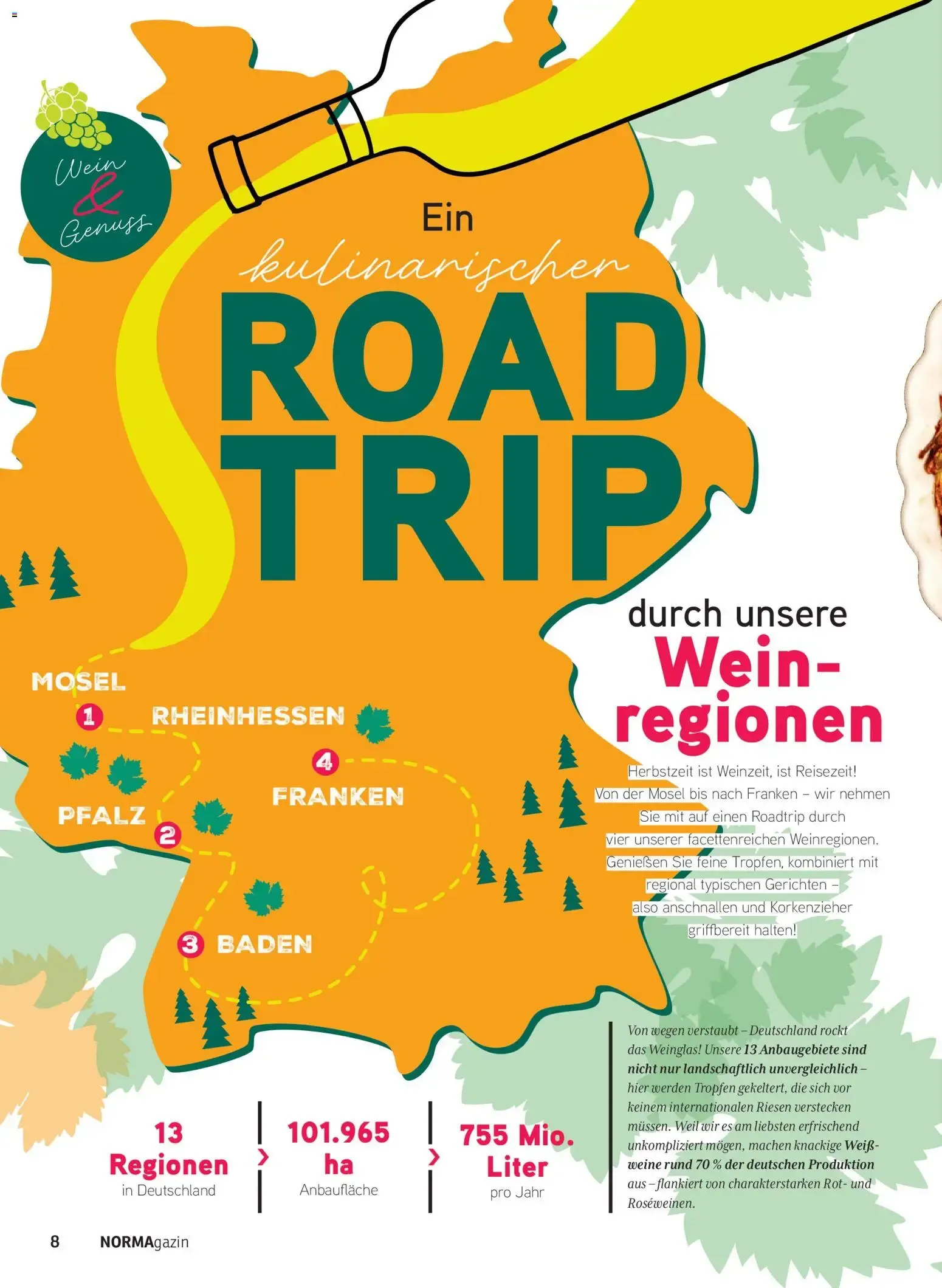 Norma NORMAgazin September/Oktober 2026 (ab 01.09.2026) zum blättern » Angebote von 1. September bis 31. Oktober 2026 - Prospekt seite 8