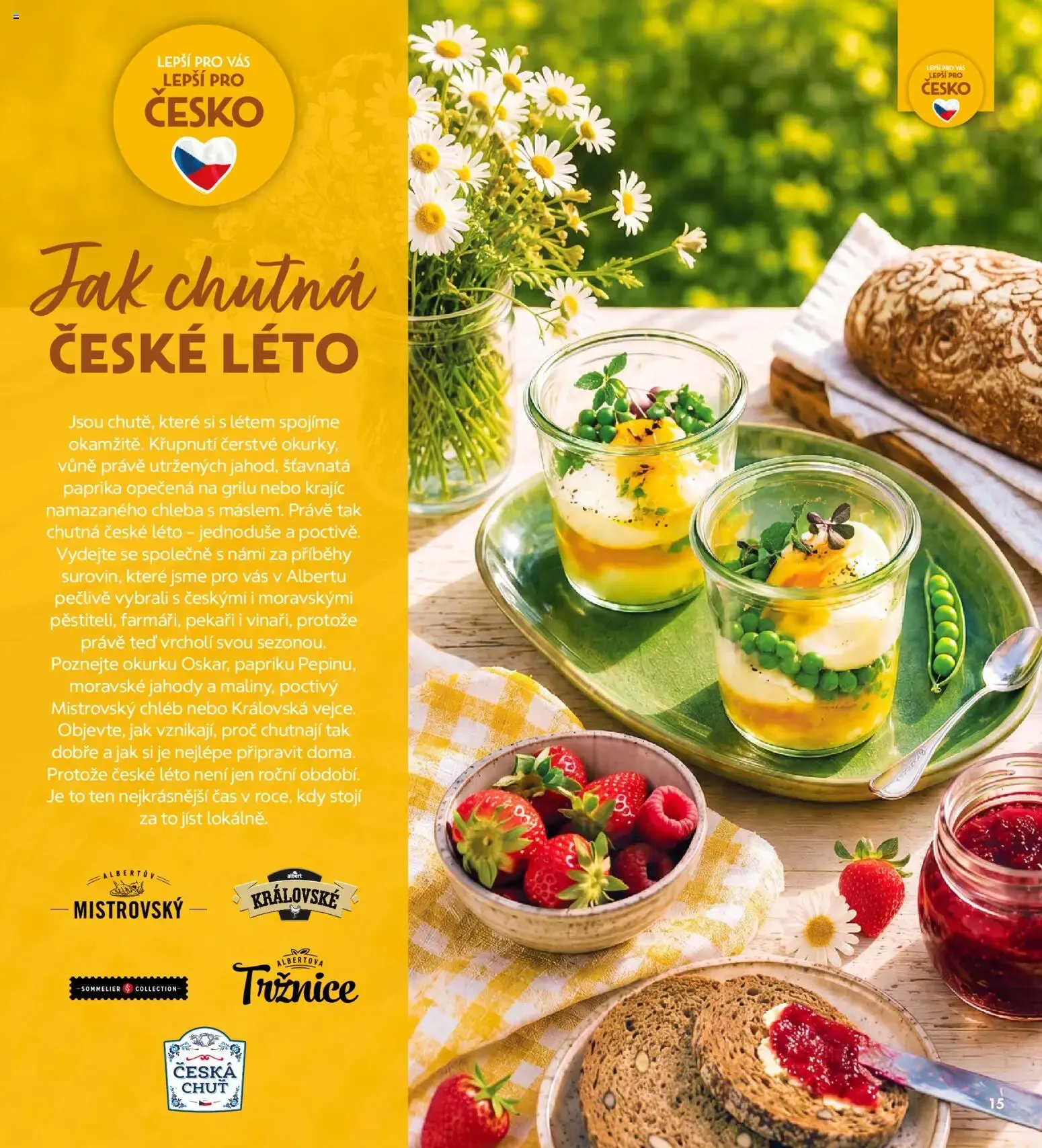 Albert magazín od 01.07.2026 - Akční leták - 1. července 31. srpna 2026 - Page 15