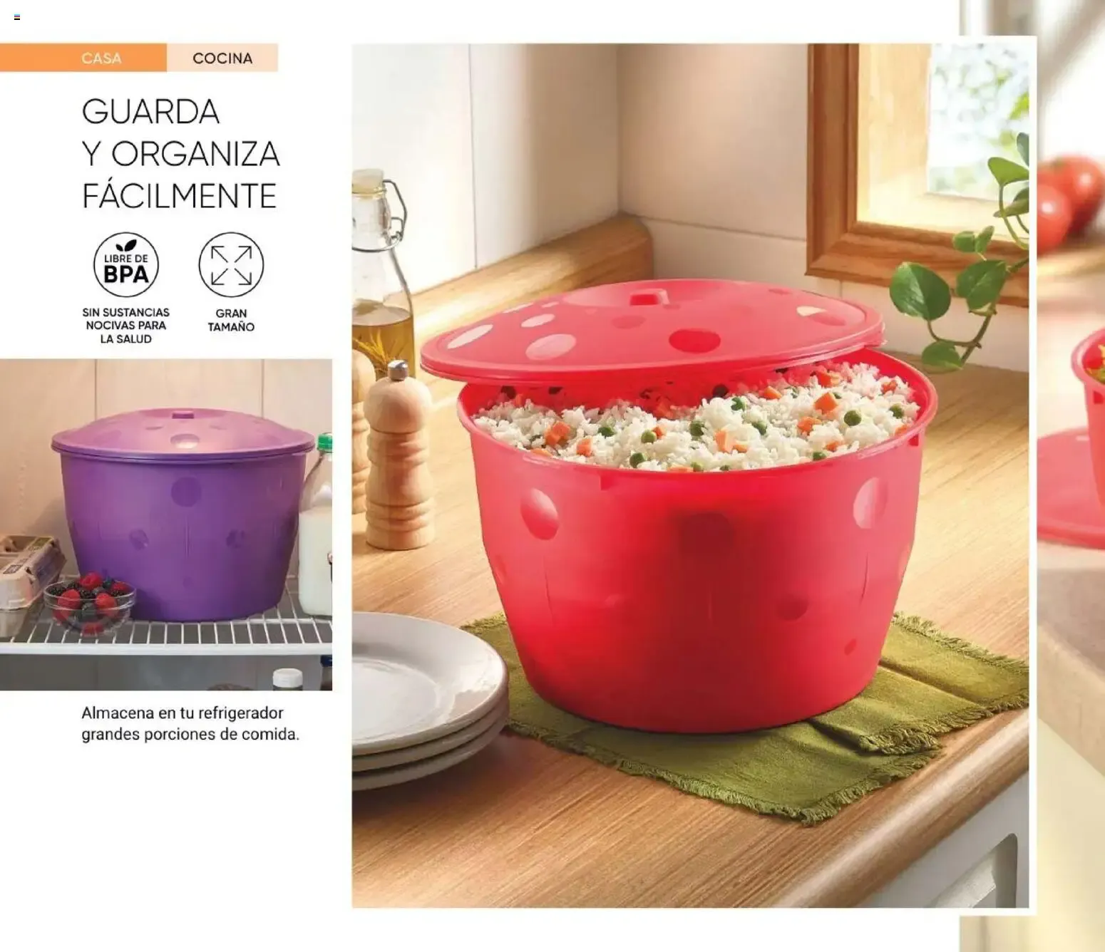 Catálogo de AVON CATÁLOGO PDF - AVON Casa & Estilo 13 2026 21 de agosto al 30 de septiembre 2026 - Pagina 32