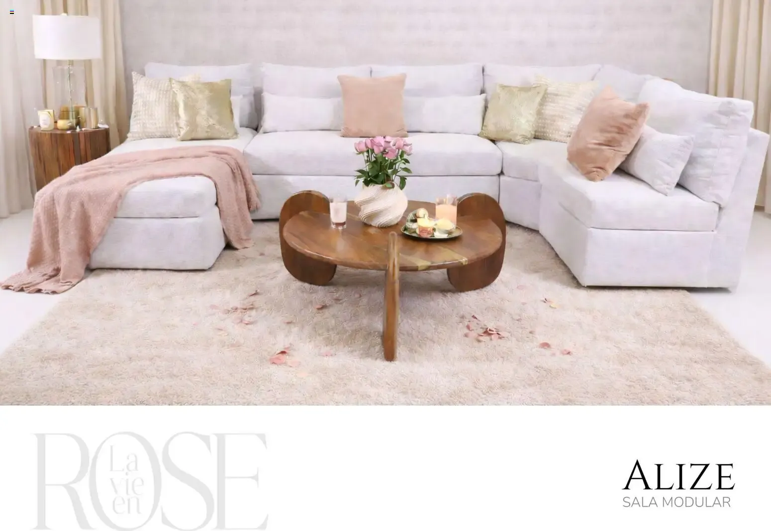 Catálogo de Muebles Dico La Vie en Rose 6 de febrero al 31 de diciembre 2026 - Pagina 9