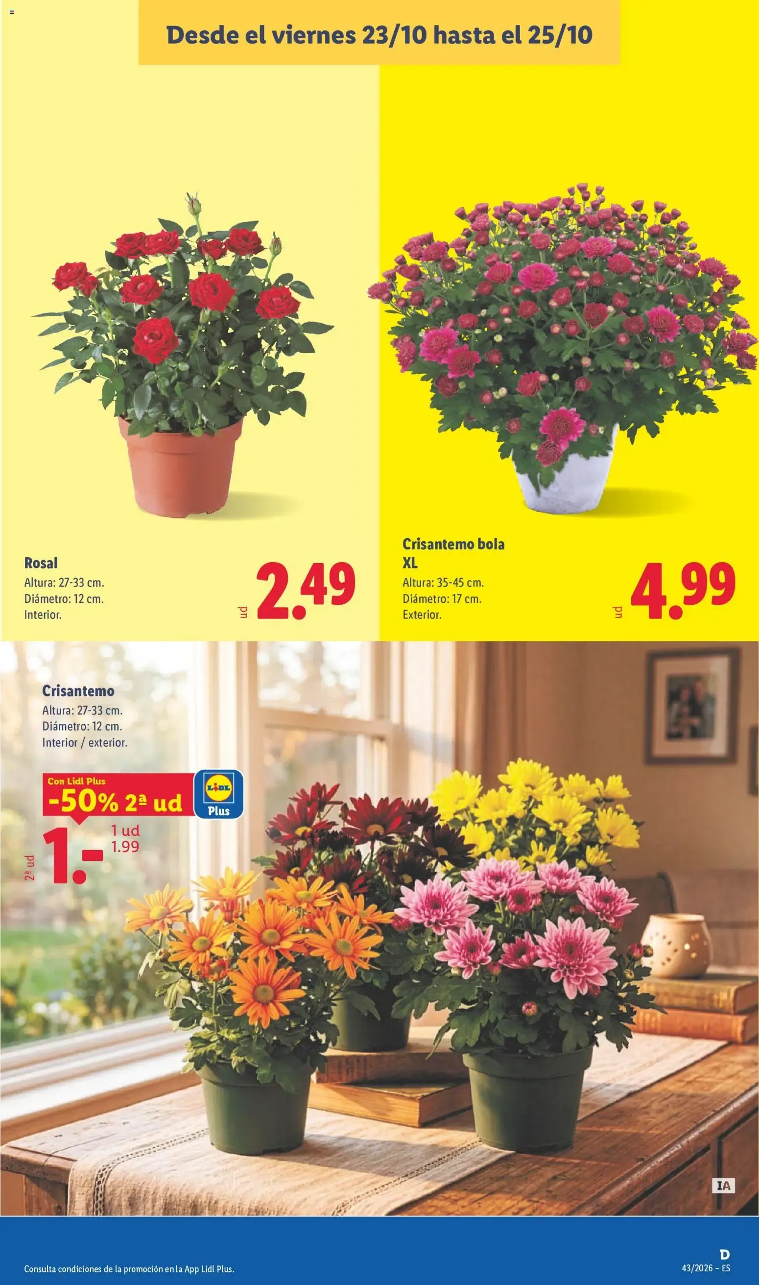 Catálogo de Lidl: Ofertas de carne y otros productos 19 de octubre al 25 de octubre 2026 - Página 53