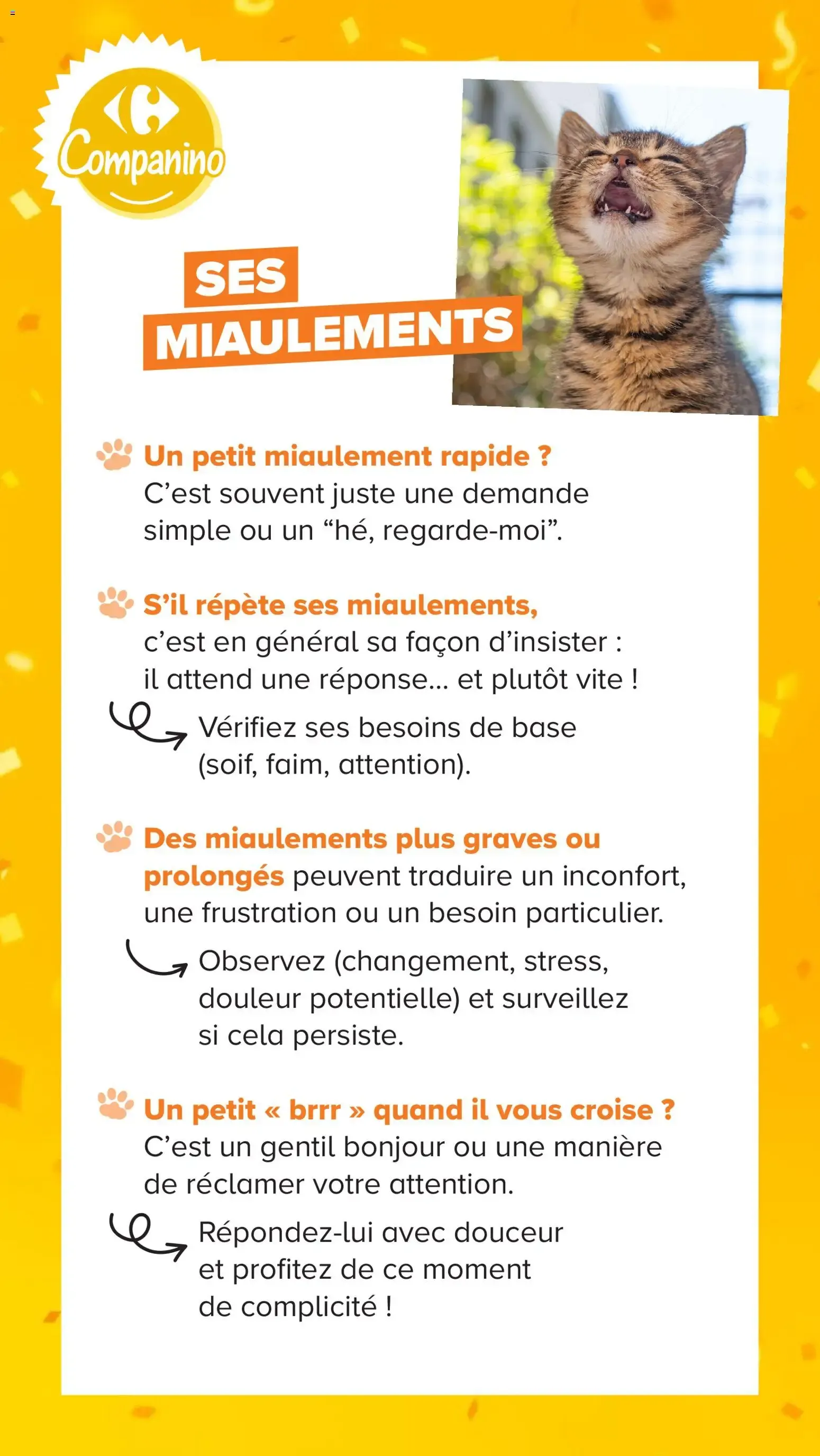 Carrefour Market Découvrez la marque carrefour companino à partir du 04/08/2026 - promo en ligne du 4 août au 7 septembre 2026 - Catalogue page 13