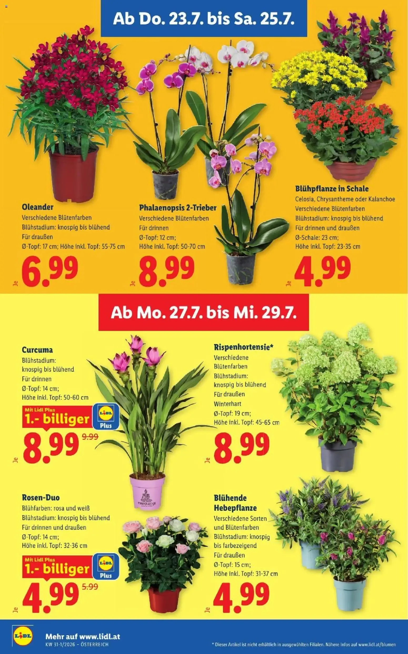 Lidl - Flugblatt ab 23.07.2026 - Angebote ab donnerstag von 23. Juli bis 25. Juli 2026 - Flugblätt seite  30