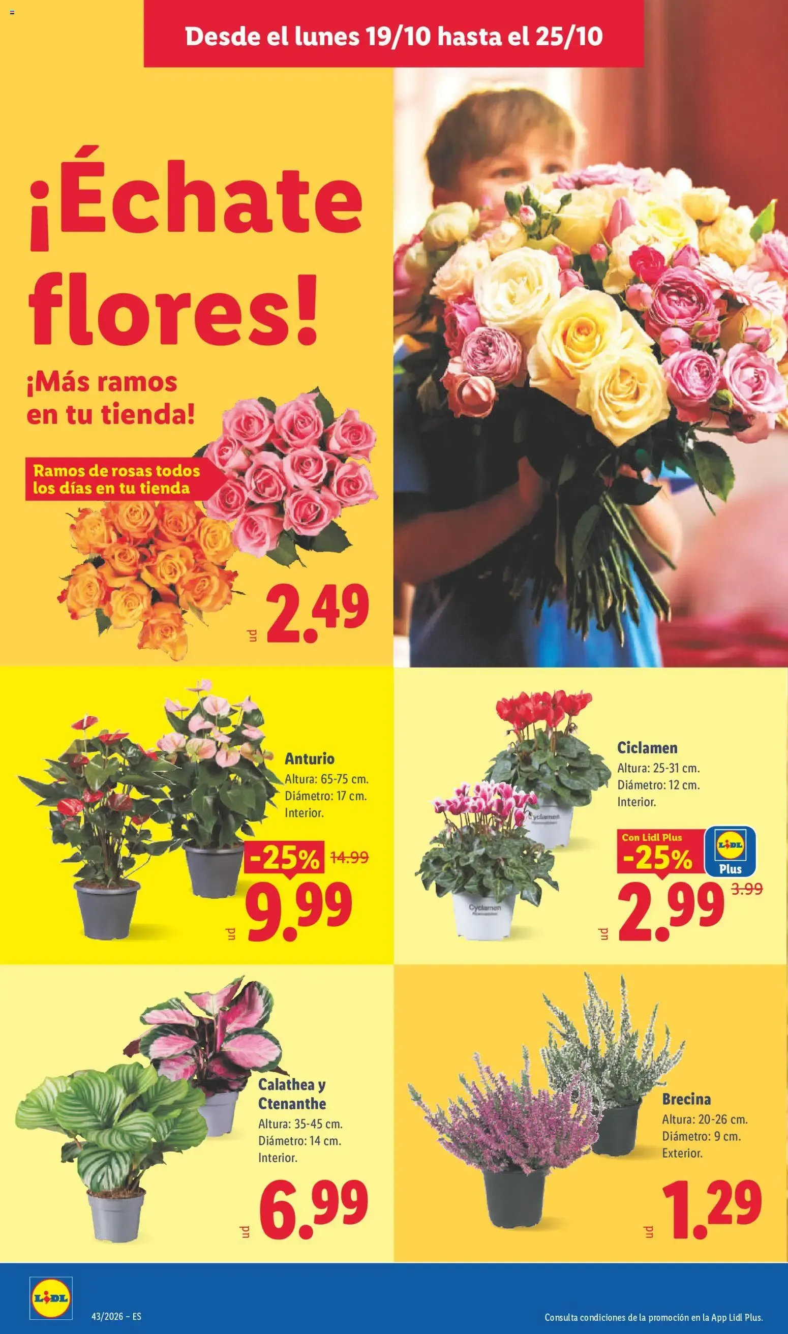 Catálogo de Lidl: Ofertas de carne y otros productos 19 de octubre al 25 de octubre 2026 - Página 52