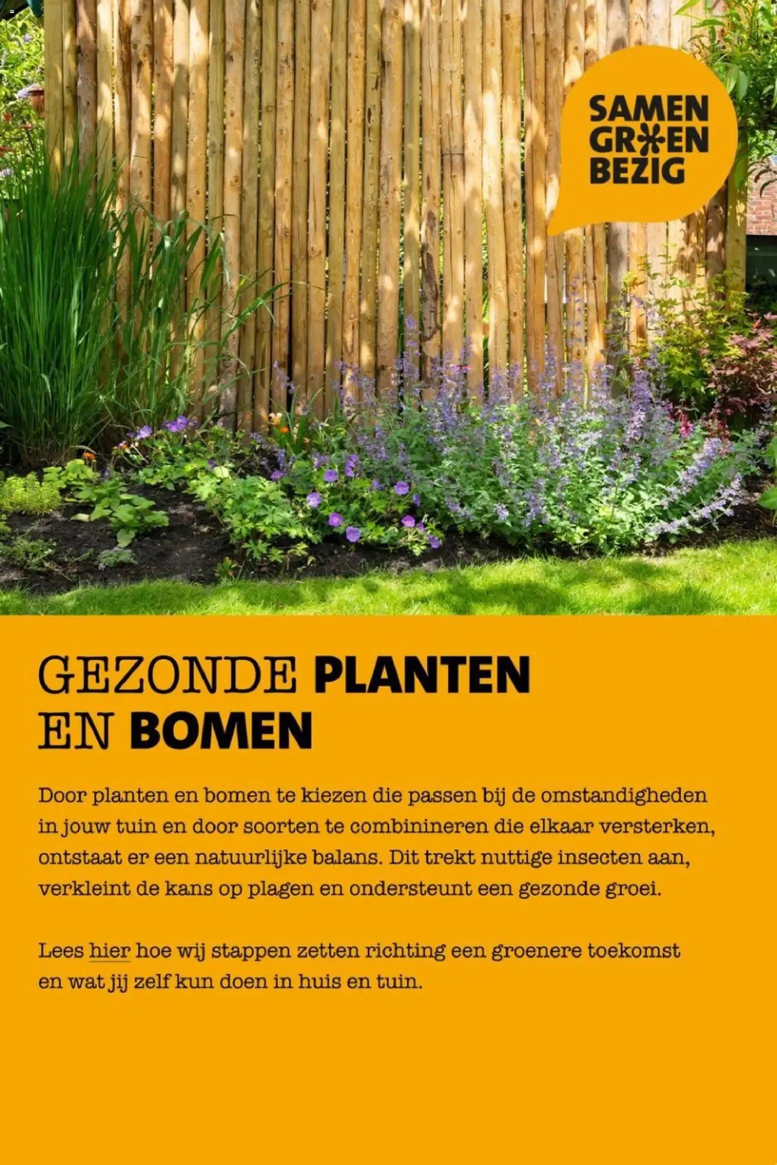Intratuin: Een groene glimlach cadeau van 29 juni tot 5 juli 2026 - Folder pagina 5