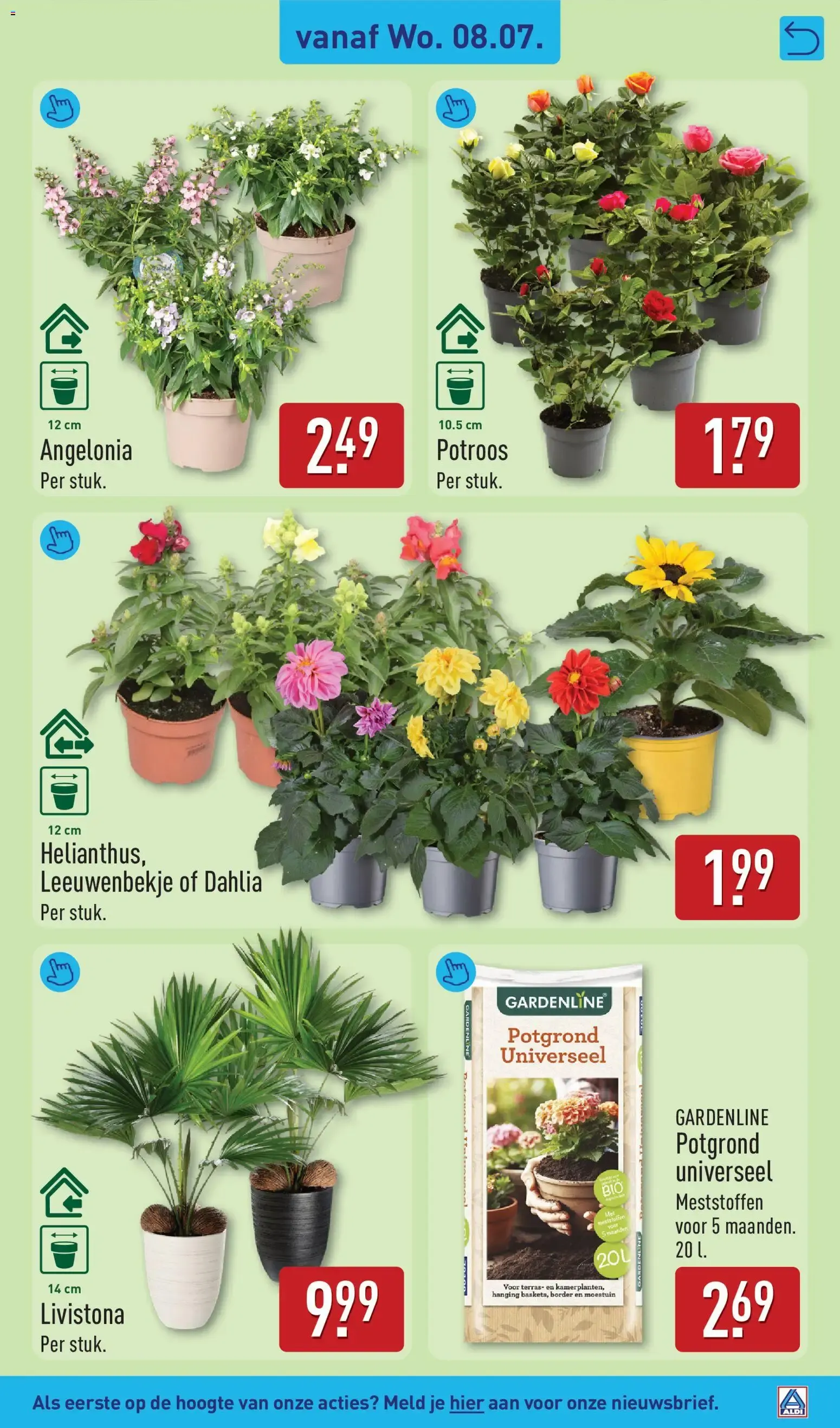 Aldi folder vanaf 06-07-2026 (volgende, deze week) van 6 juli tot 12 juli 2026 - Folder pagina 37