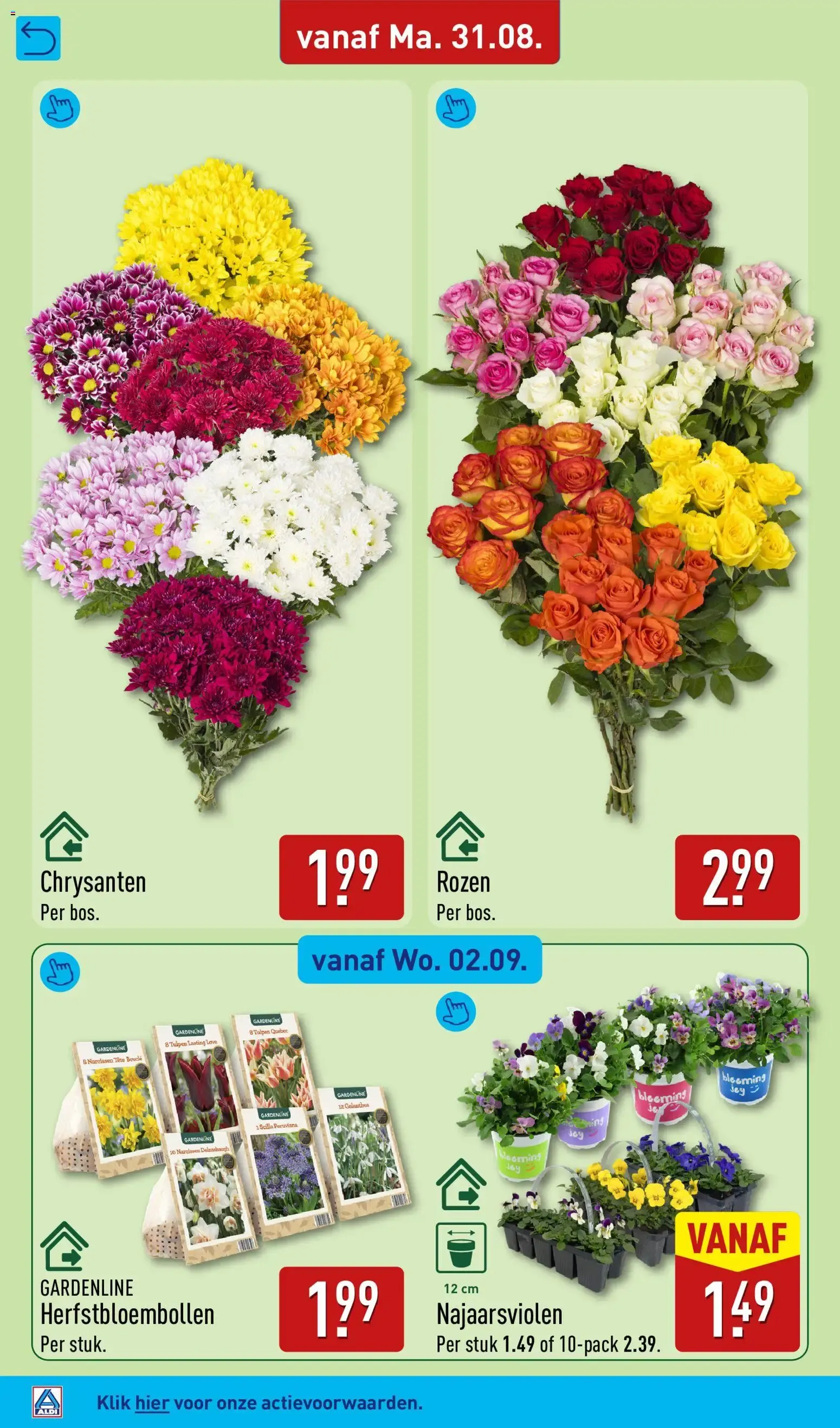 Aldi Fans van Voordeel van 31 augustus tot 6 september 2026 - Folder pagina 54